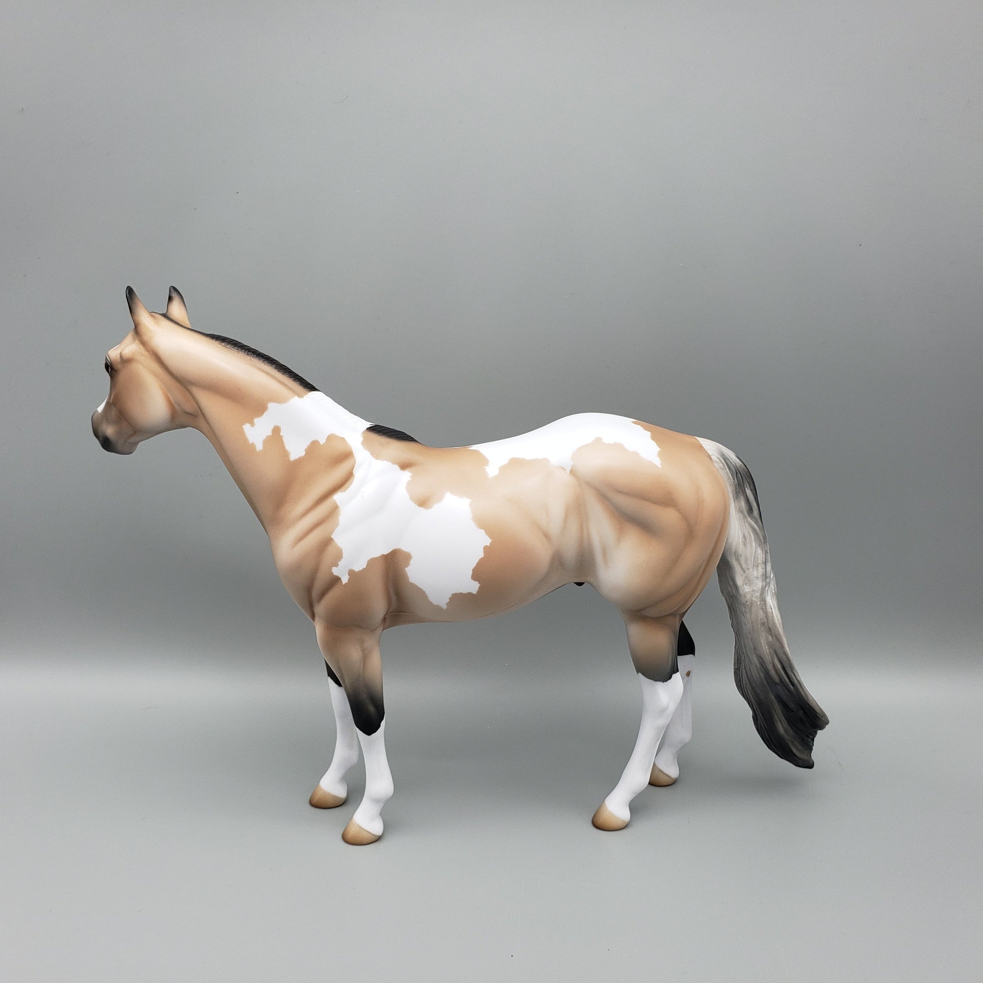 Billy - OOAK - Buckskin Tobiano ISH By Jess Hamill EQ23