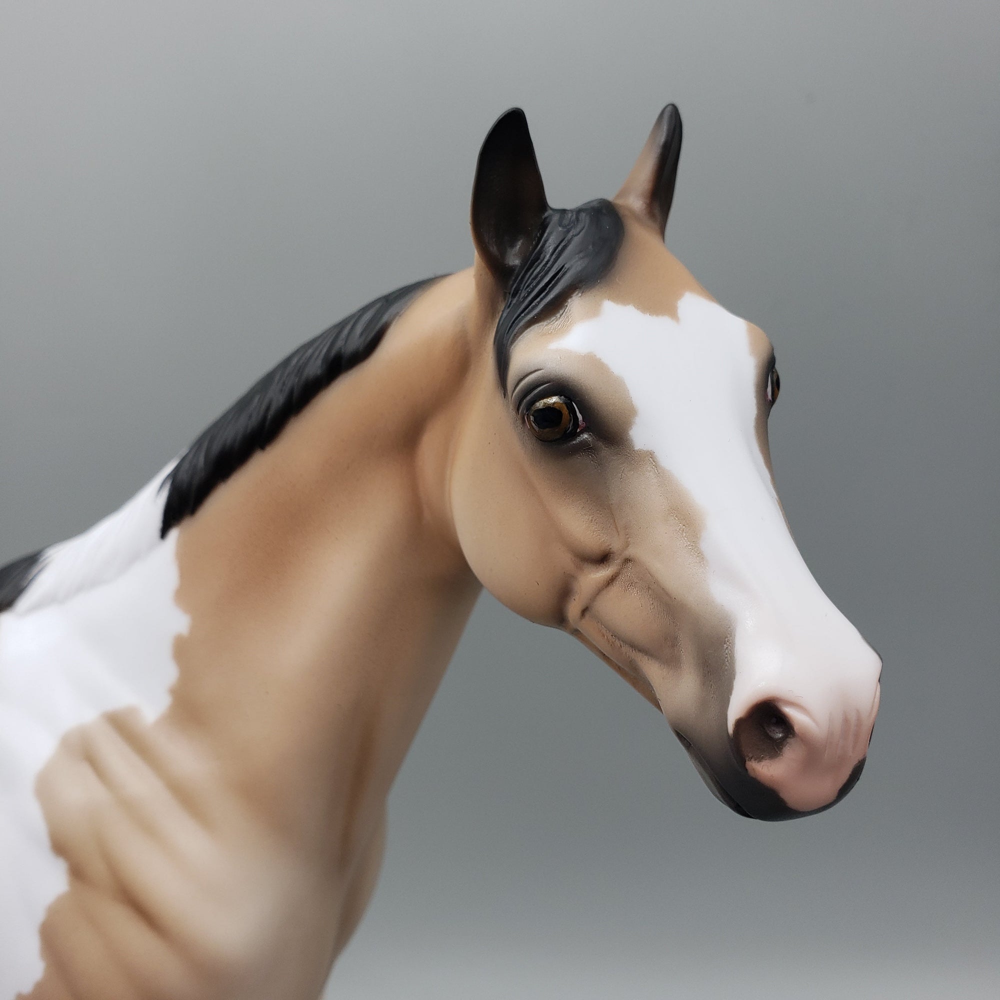 Billy - OOAK - Buckskin Tobiano ISH By Jess Hamill EQ23