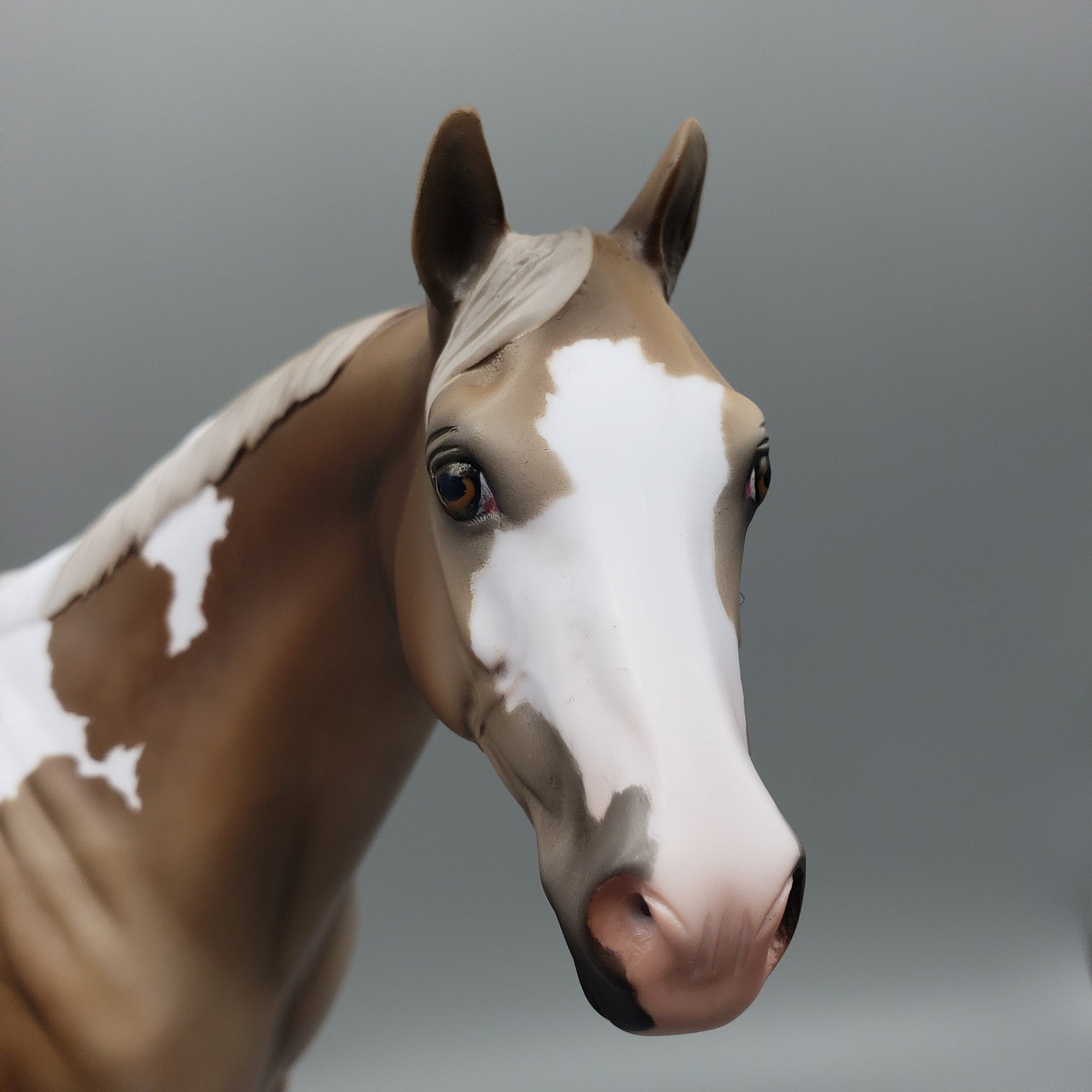 Bango - OOAK - Sooty Palomino ISH By Jess Hamill EQ23