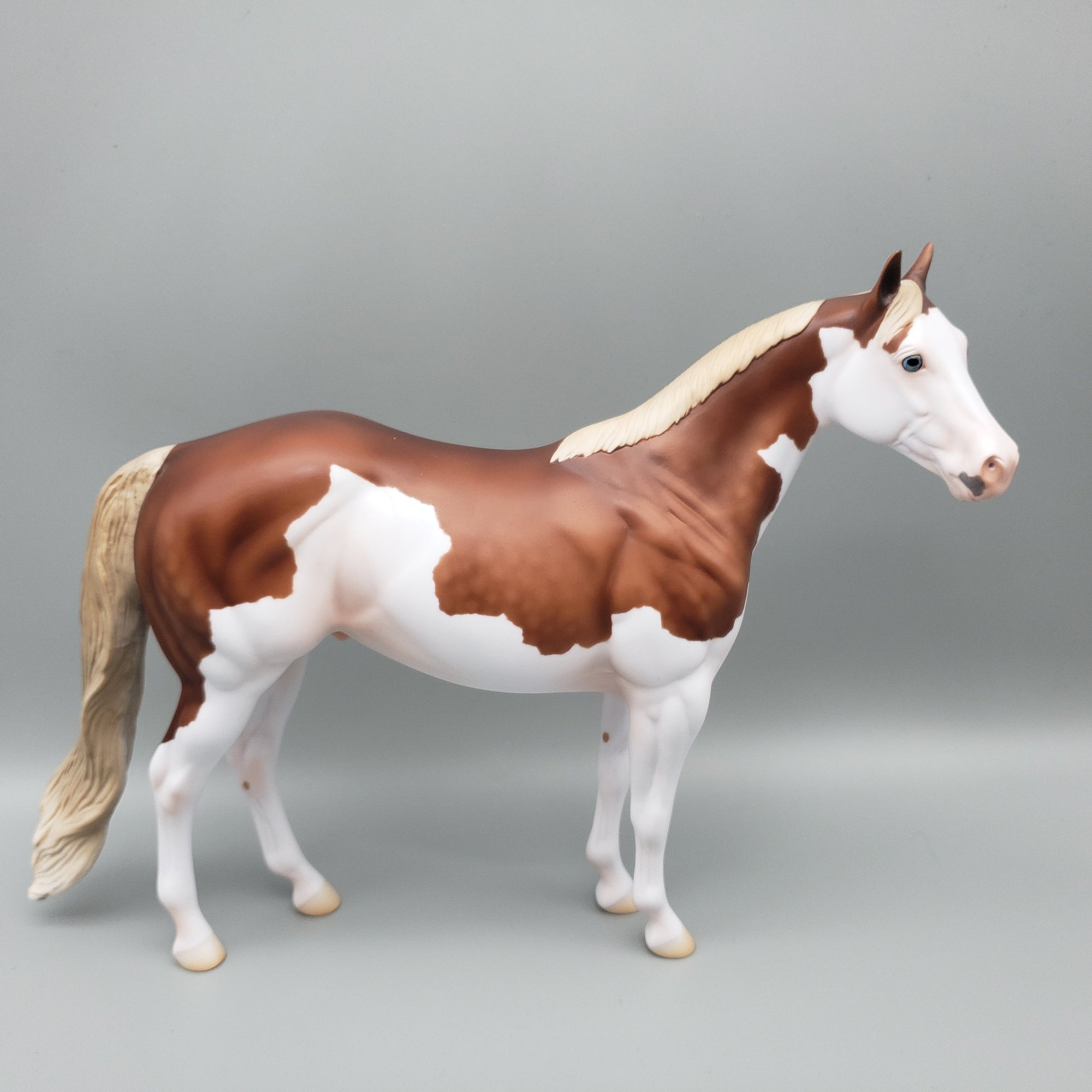 Bandit - OOAK - Flaxen Chestnut Splash ISH By Jess Hamill EQ23