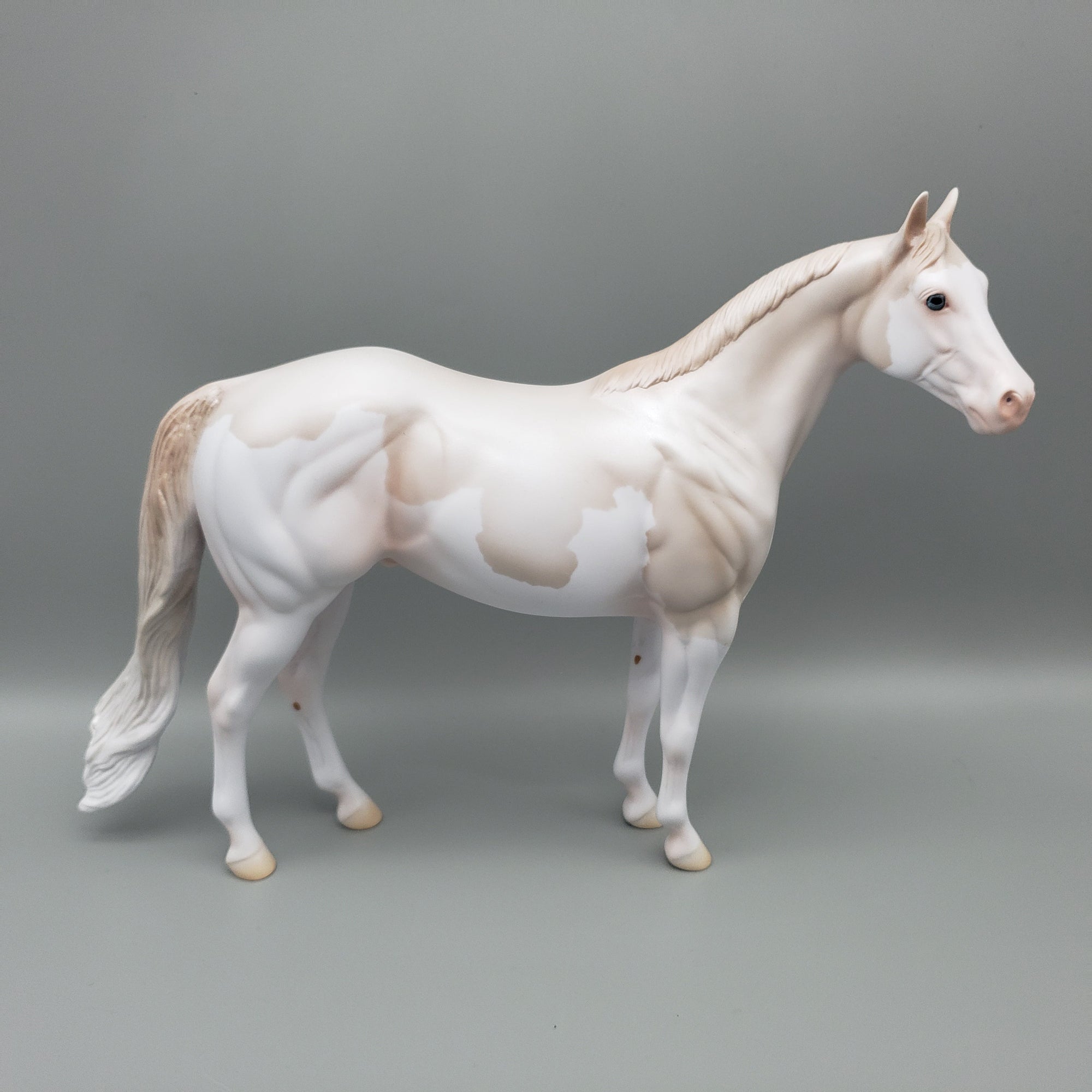Bailey - OOAK - Cremello Splash ISH By Jess Hamill EQ23