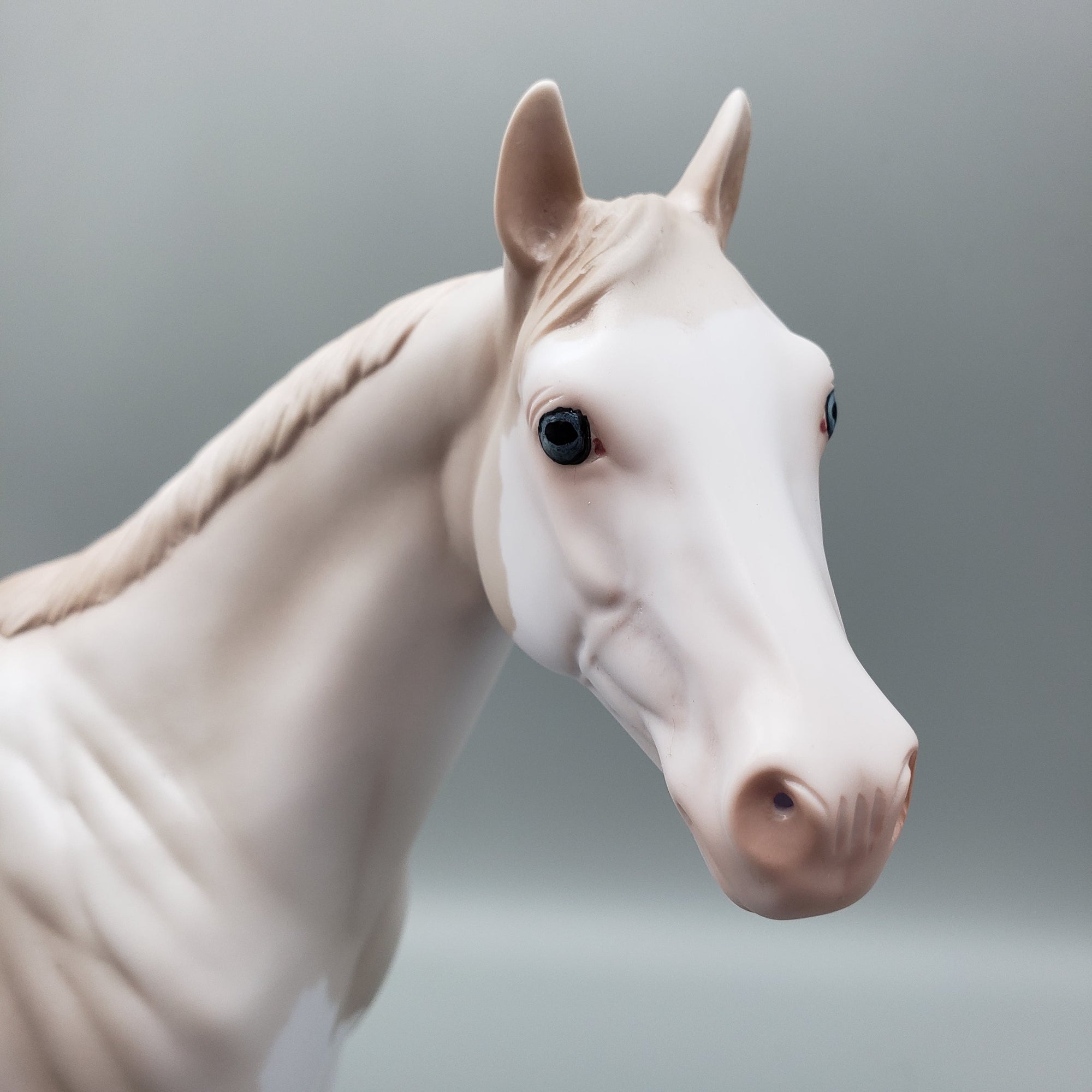 Bailey - OOAK - Cremello Splash ISH By Jess Hamill EQ23