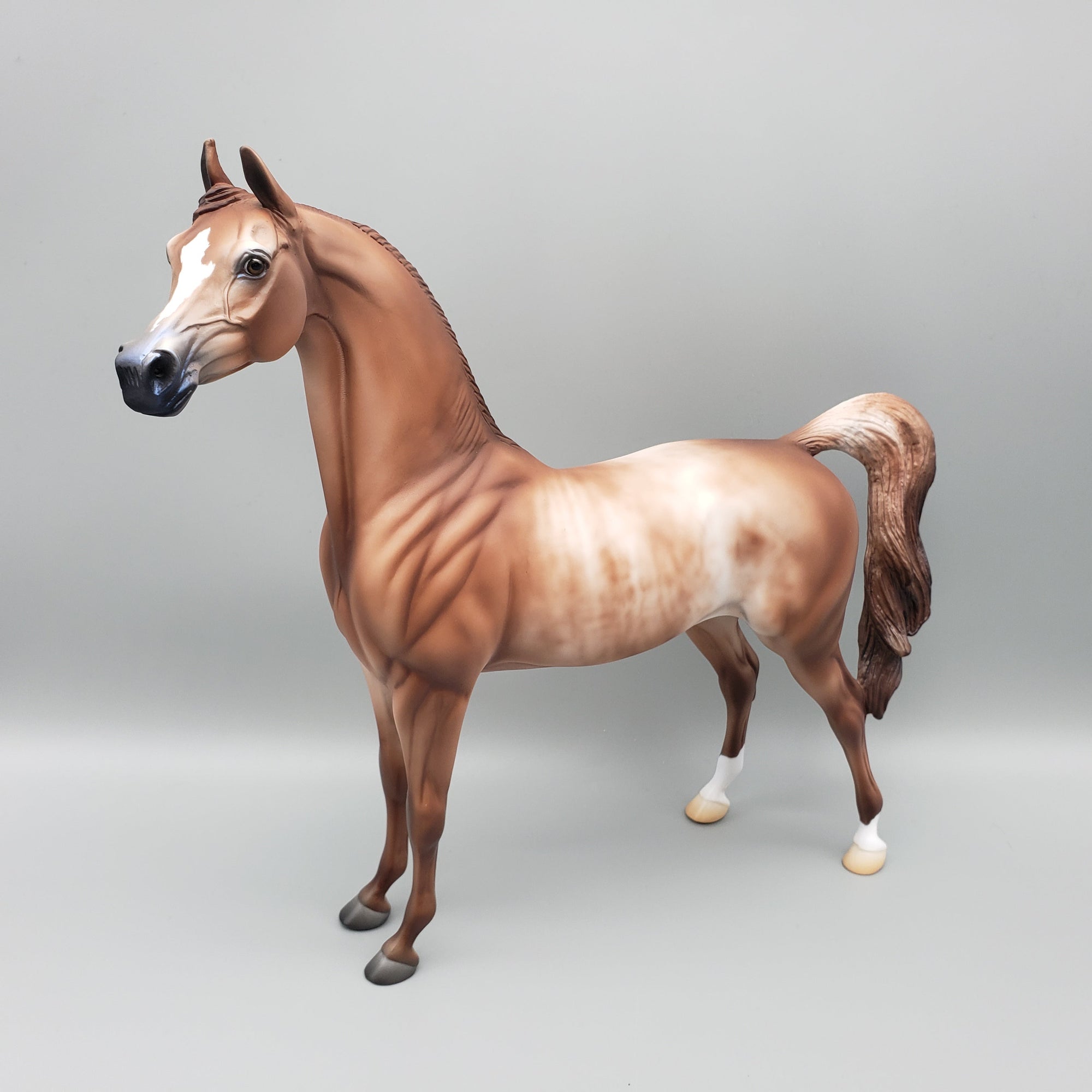 Buck - OOAK - Chestnut Rabicano Arabian By Jess Hamill EQ23