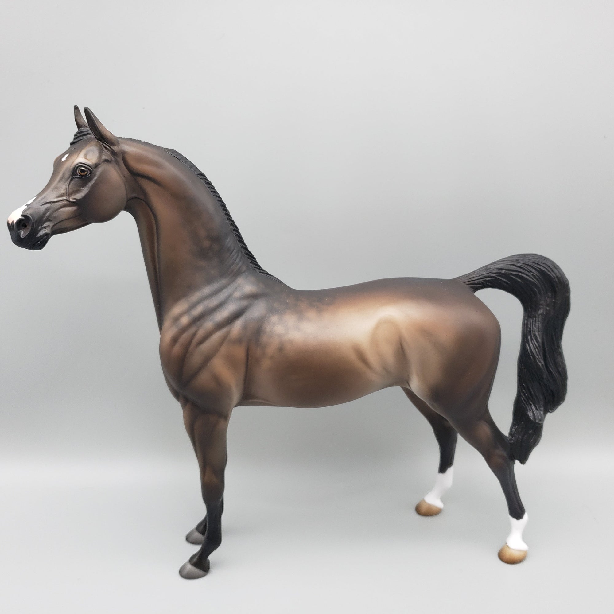 Bramble - OOAK - Dappled Sooty Buckskin Arabian By Jess Hamill EQ23