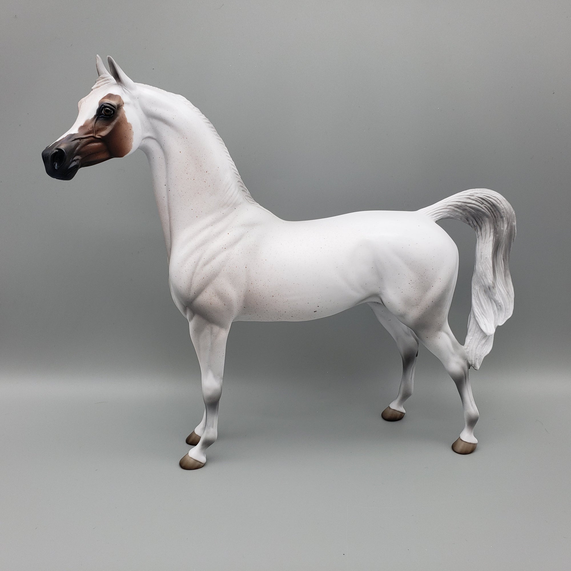 Bobby - OOAK - Fleabitten Grey Arabian By Jess Hamill EQ23
