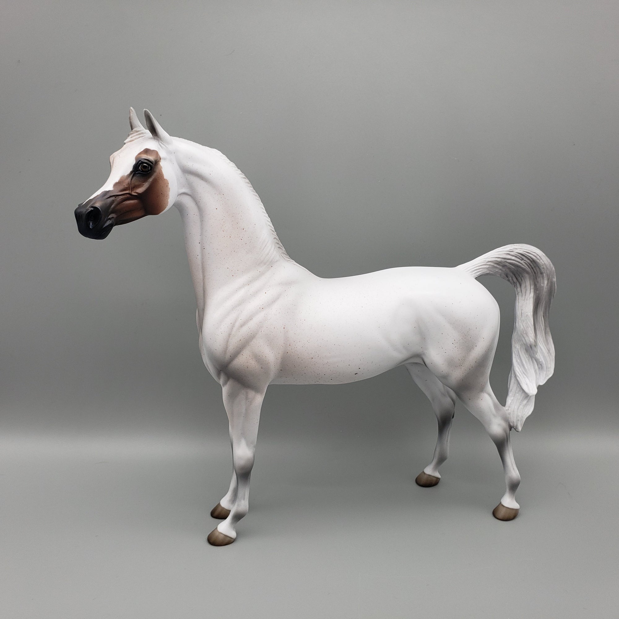 Bobby - OOAK - Fleabitten Grey Arabian By Jess Hamill EQ23