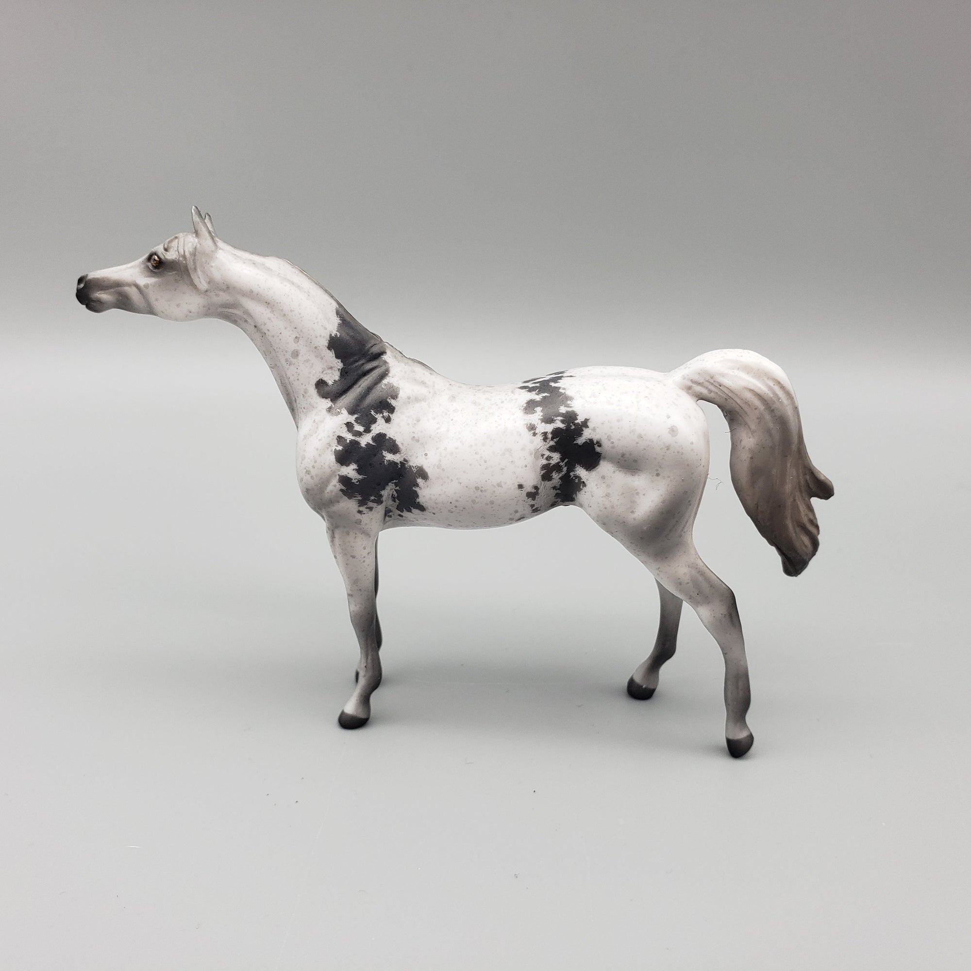 Cash OOAK Grey Bloody Shoulder Arabian Chip By Jess Hamill EQ23