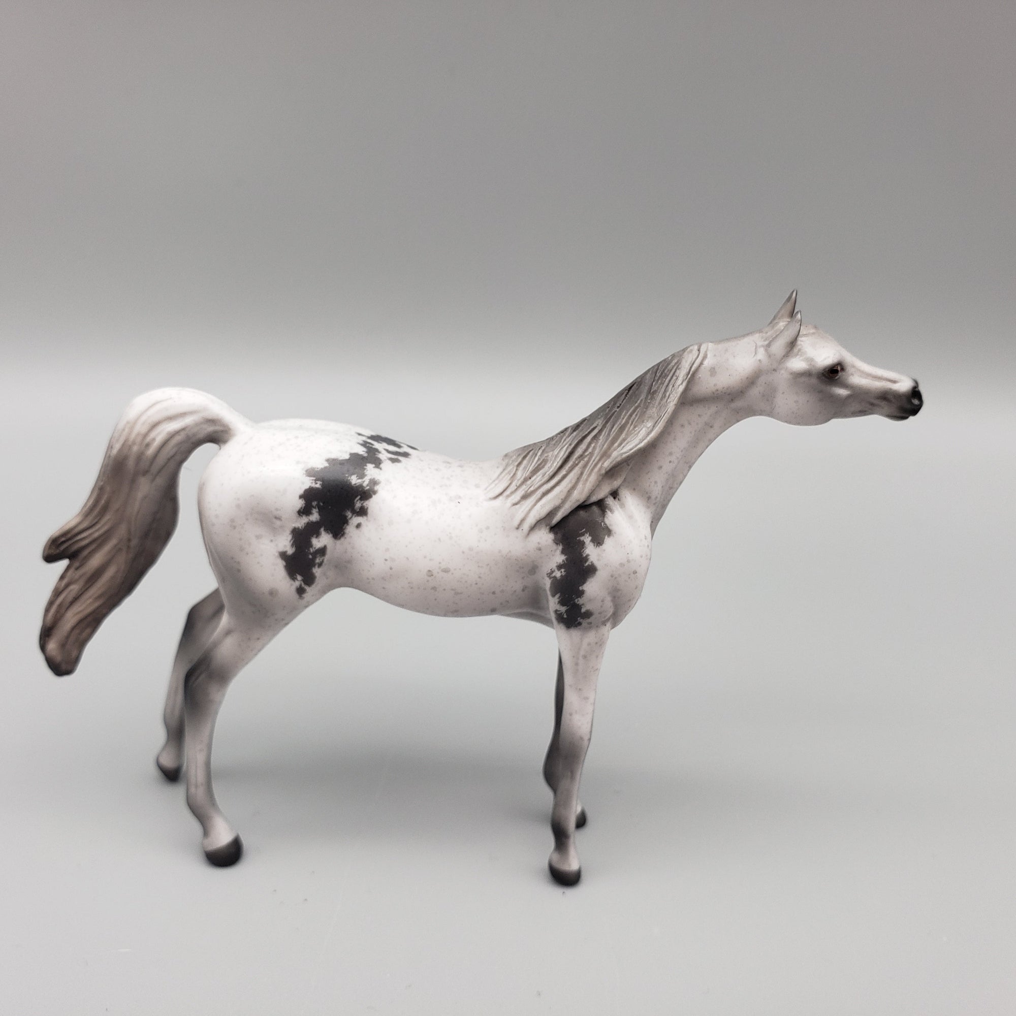 Cash OOAK Grey Bloody Shoulder Arabian Chip By Jess Hamill EQ23