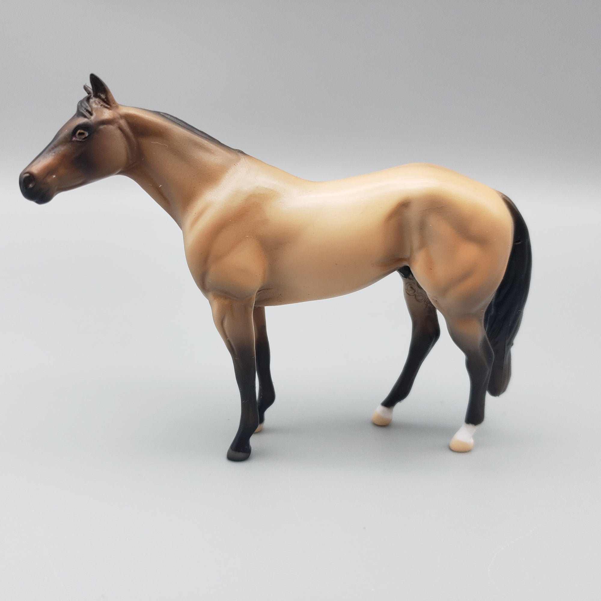 Kit Kat OOAK Buckskin ISH Chip By Jess Hamill EQ23