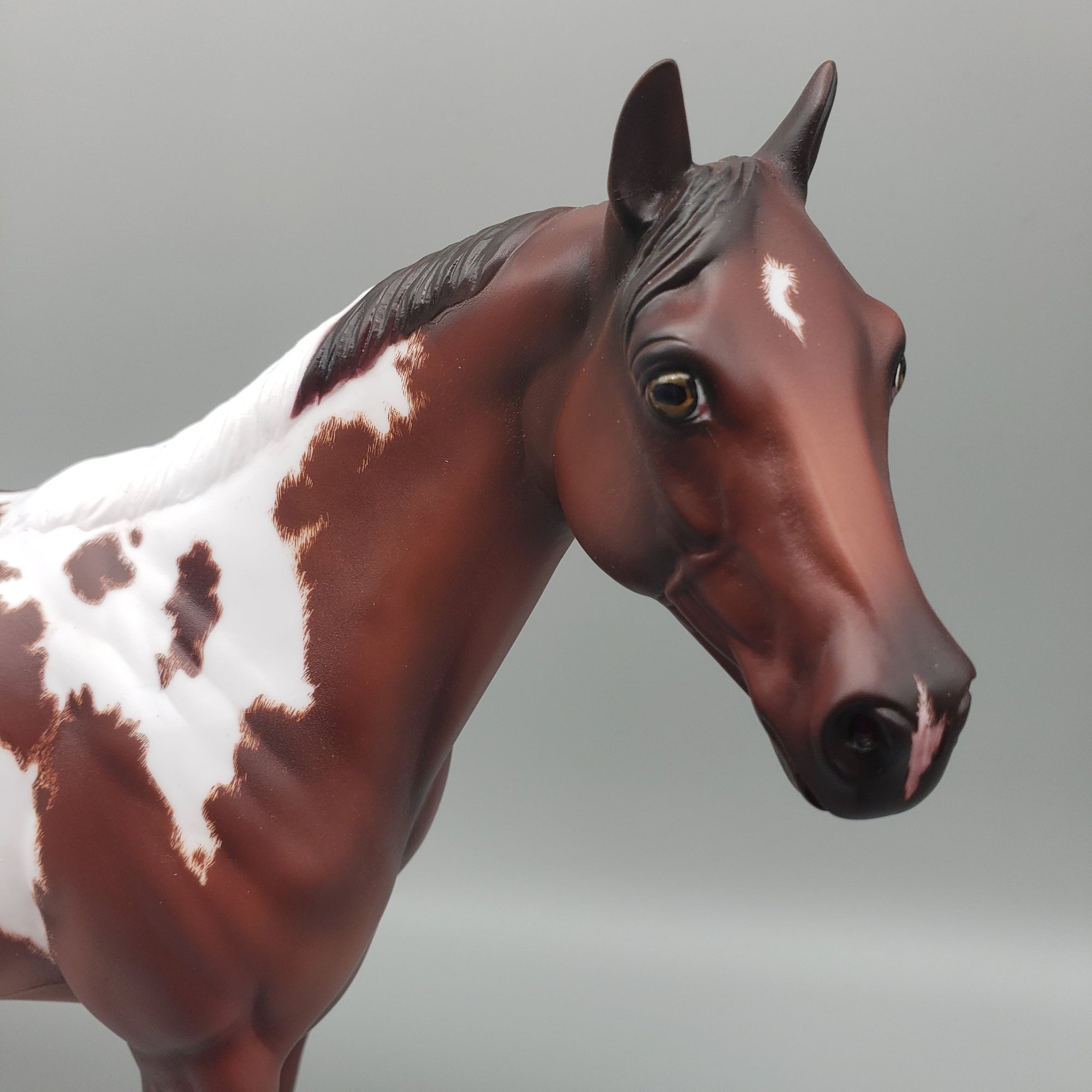 Coltrane - OOAK - Chestnut Paint ISH By Donna Fredley EQ23