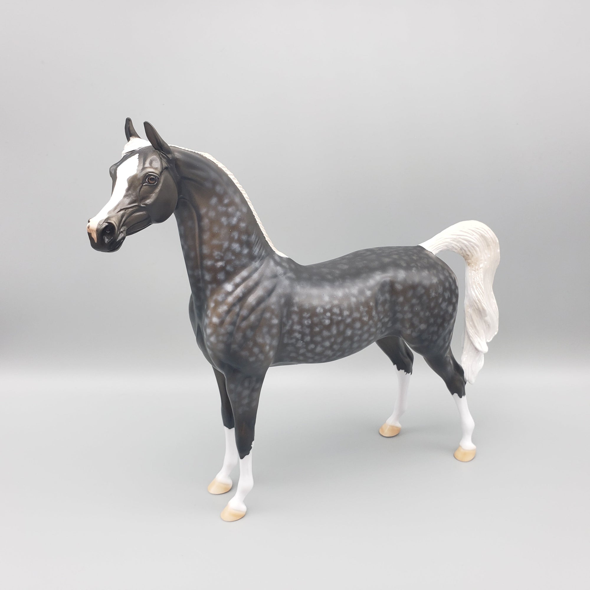Caviar - OOAK - Dappled Grey ArabianBy Dawn Quick EQ23