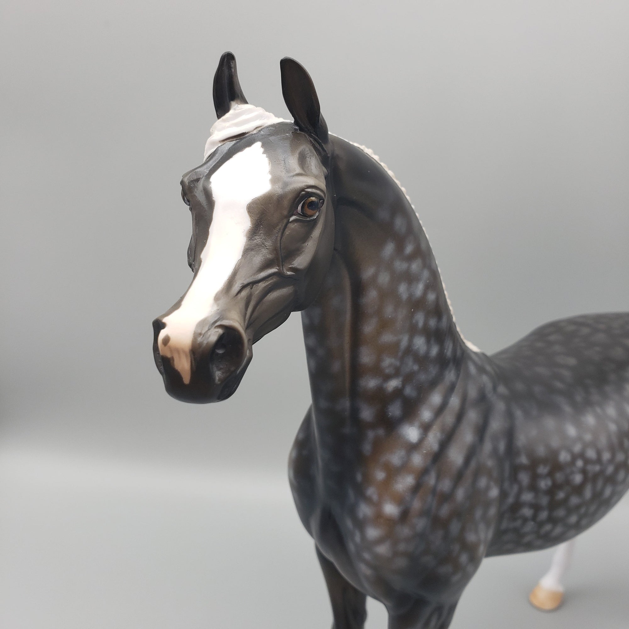 Caviar - OOAK - Dappled Grey ArabianBy Dawn Quick EQ23