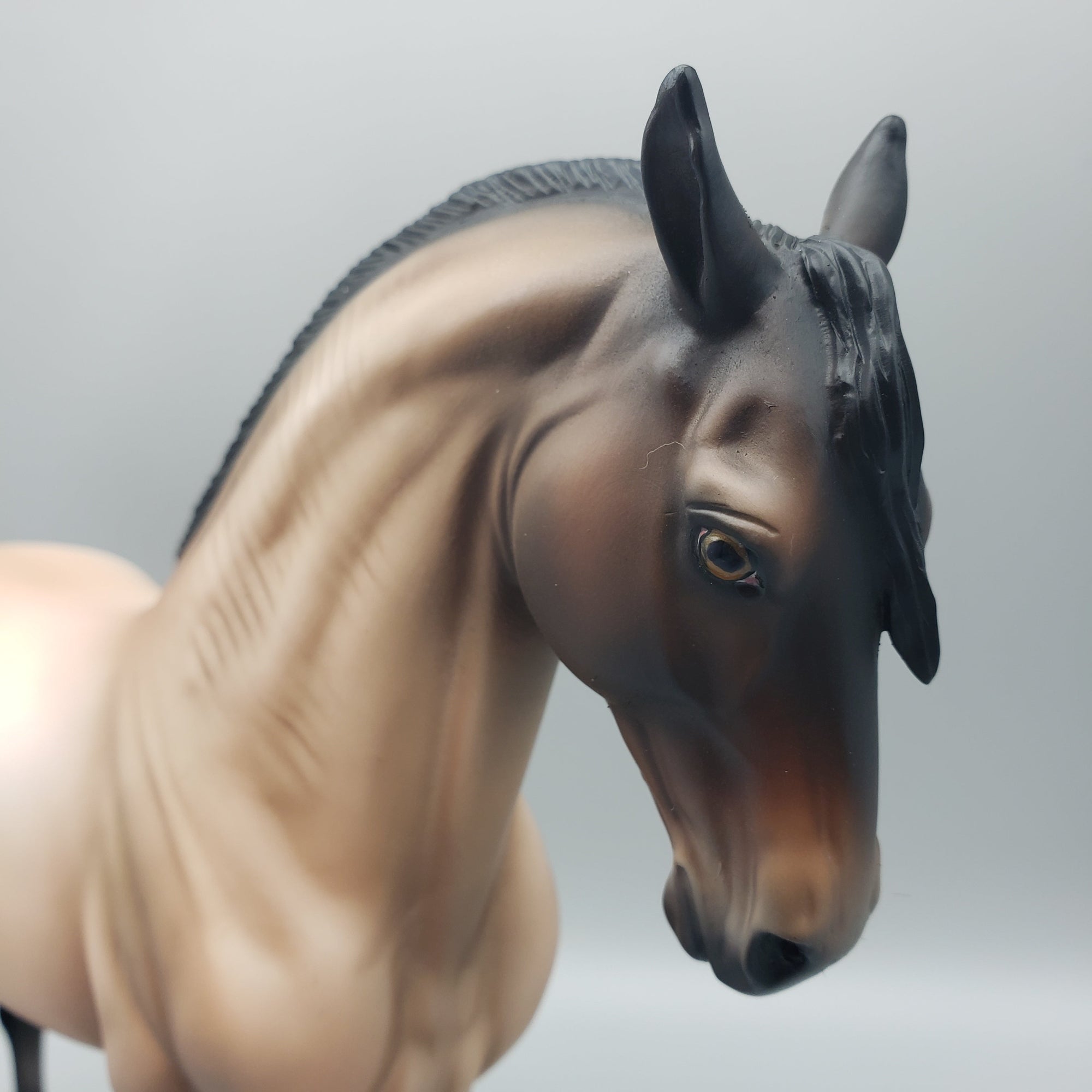 Lucky - OOAK - Buckskin Andalusian By Jess Hamill EQ23