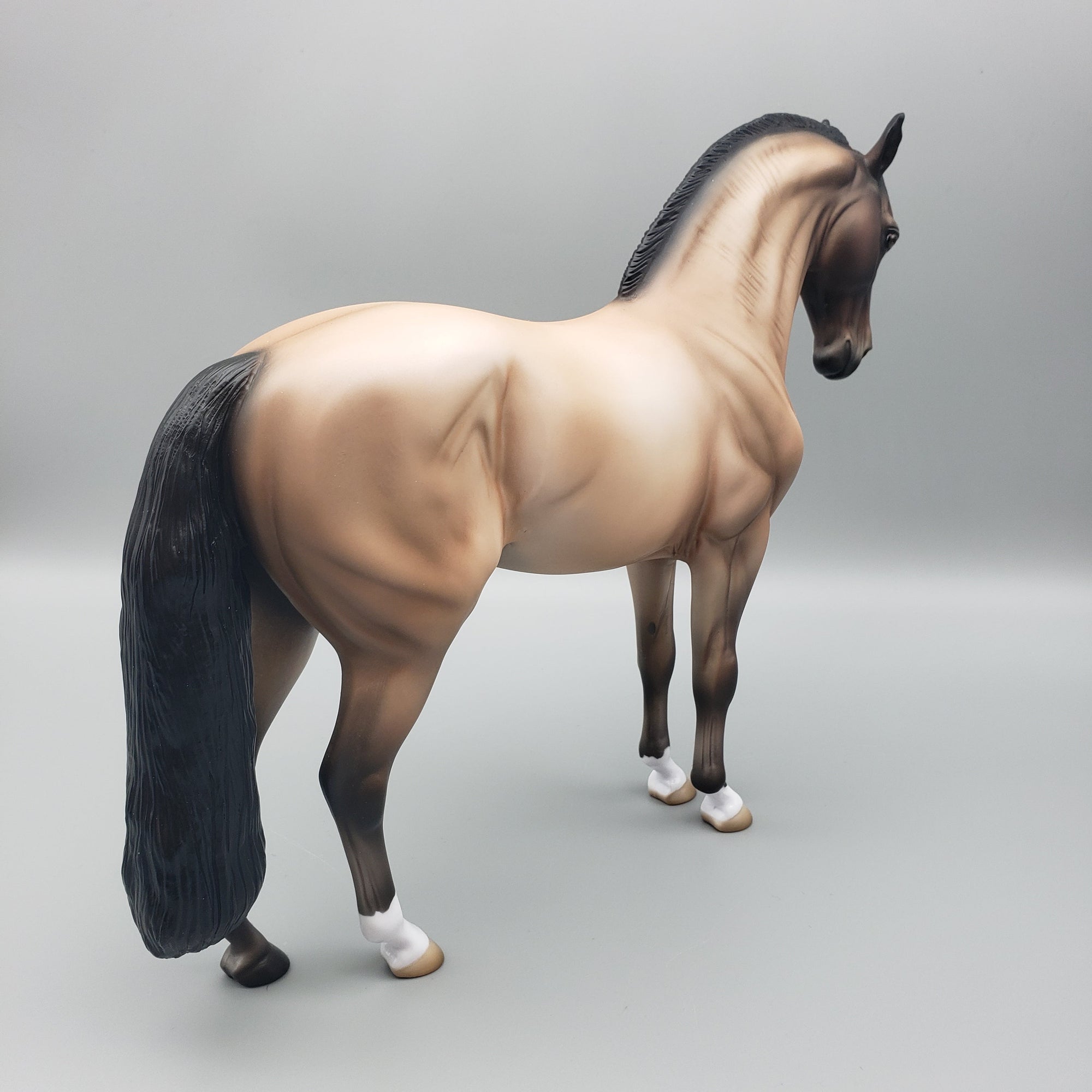 Lucky - OOAK - Buckskin Andalusian By Jess Hamill EQ23