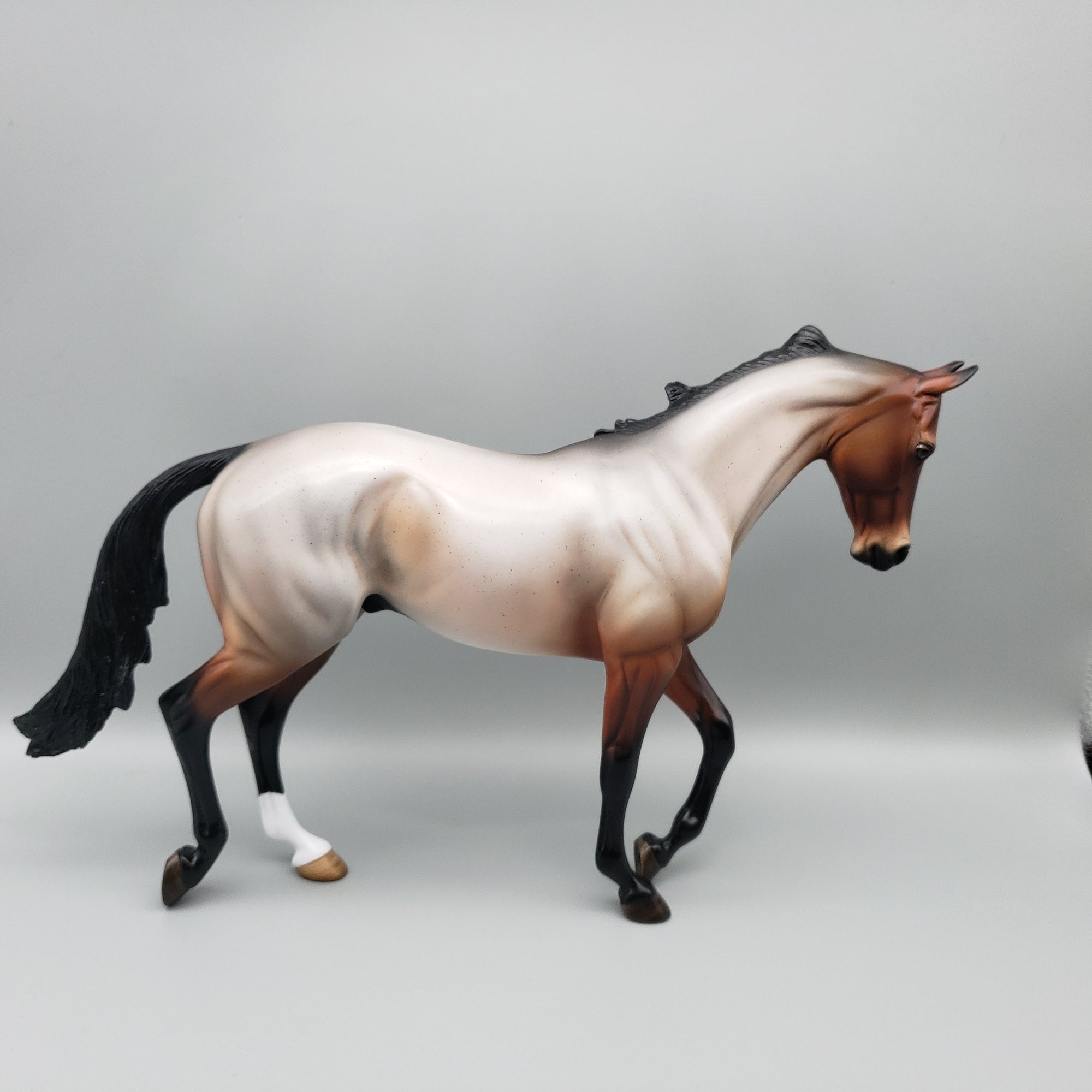 Grazer OOAK Bay Roan Thoroughbred By Angela Marleau EQ23