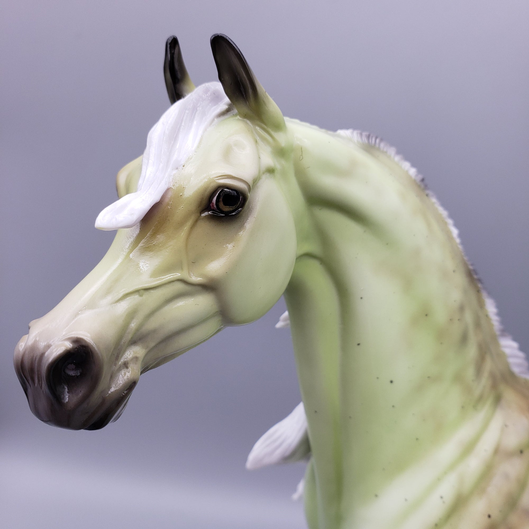 Fontinalis - Deco Arab By Ellen Robbins EQ23