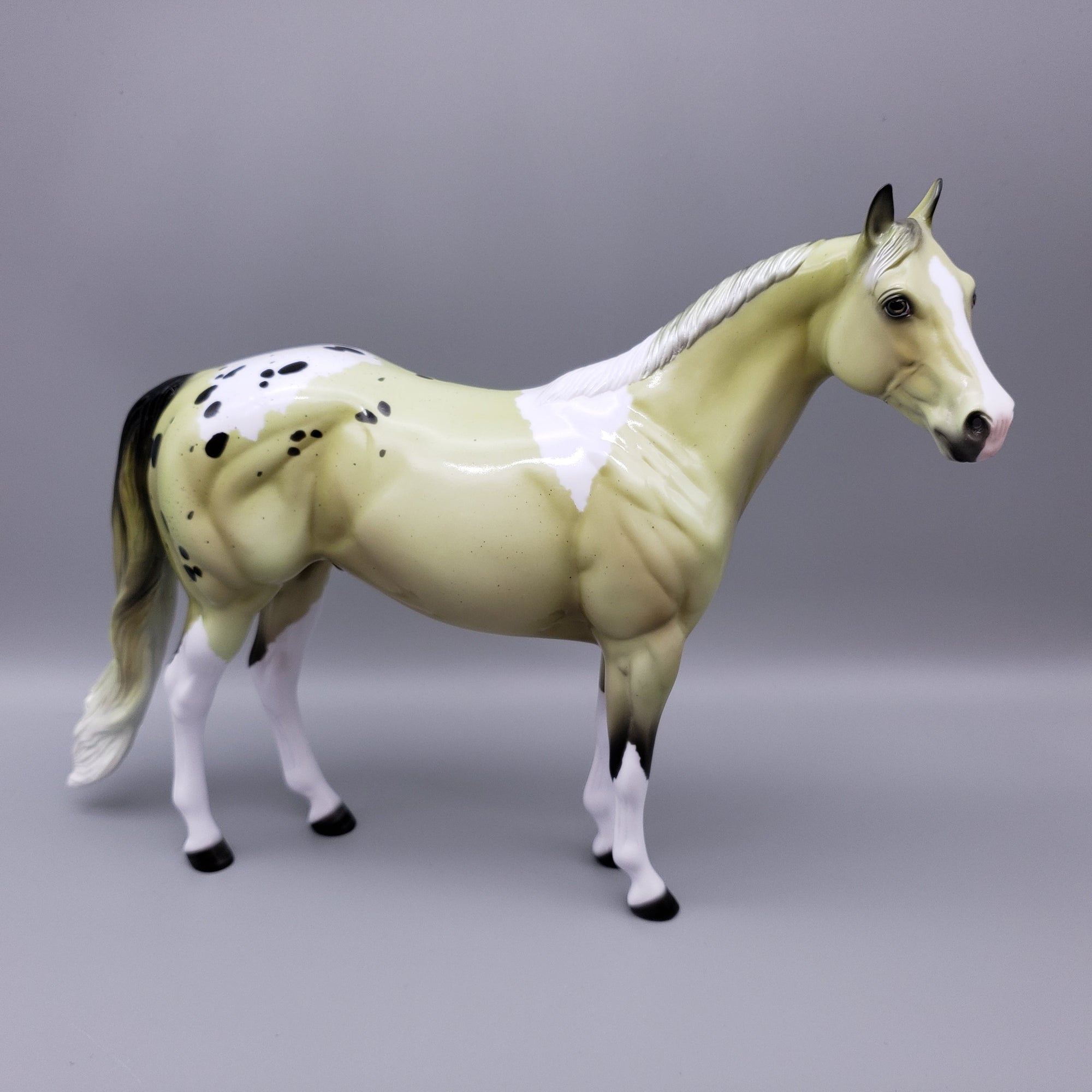 Chrysohpnum- Deco Custom ISH By Ellen Robbins EQ23