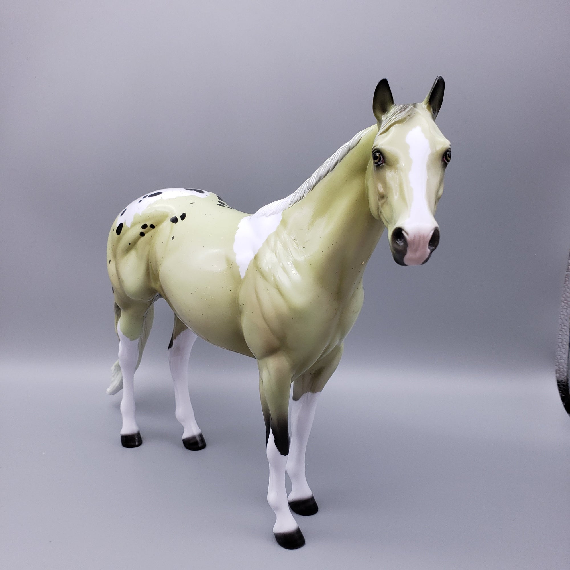 Chrysohpnum- Deco Custom ISH By Ellen Robbins EQ23