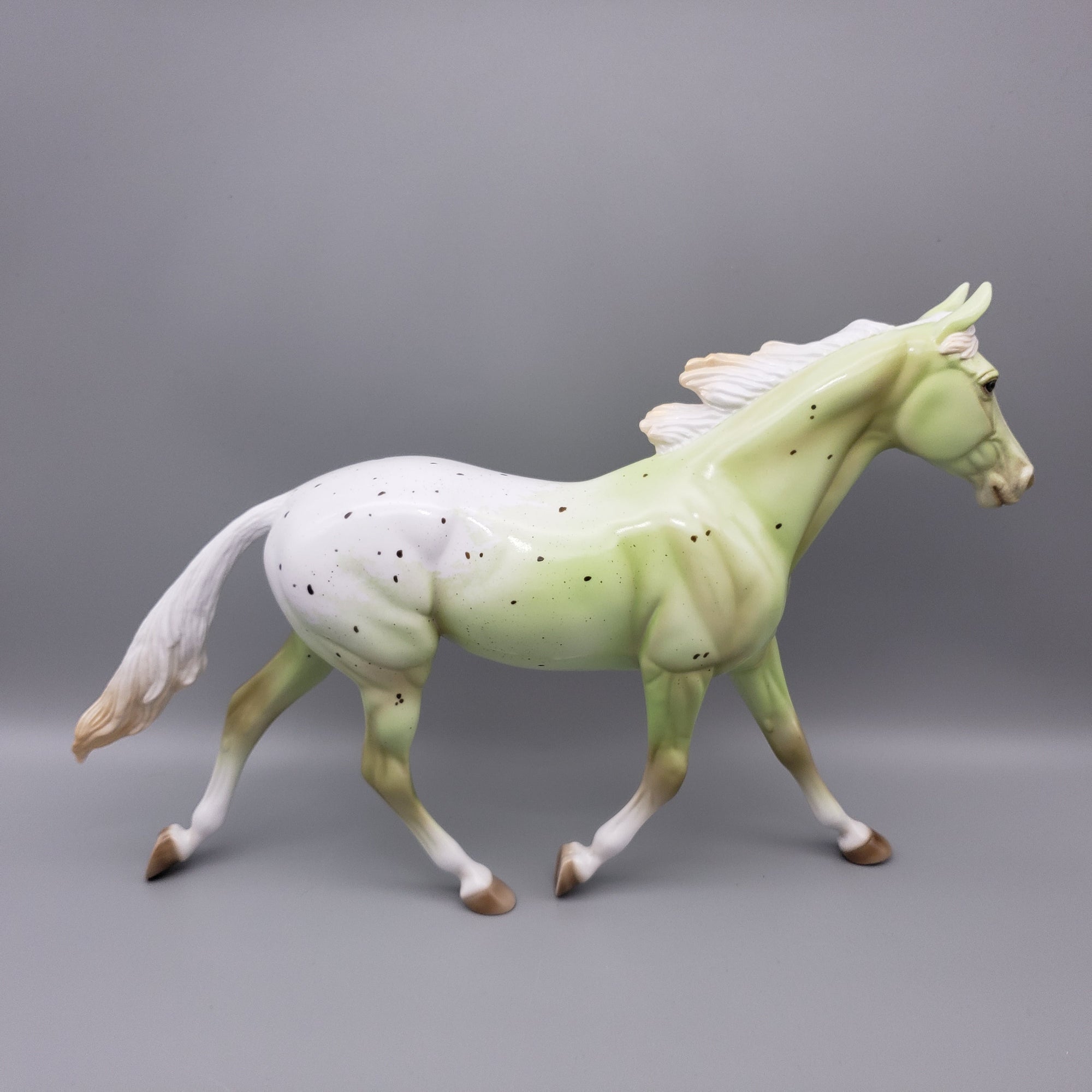 Alonia Deco Palouse T-shirt Giveaway Model By Ellen Robbins EQ23