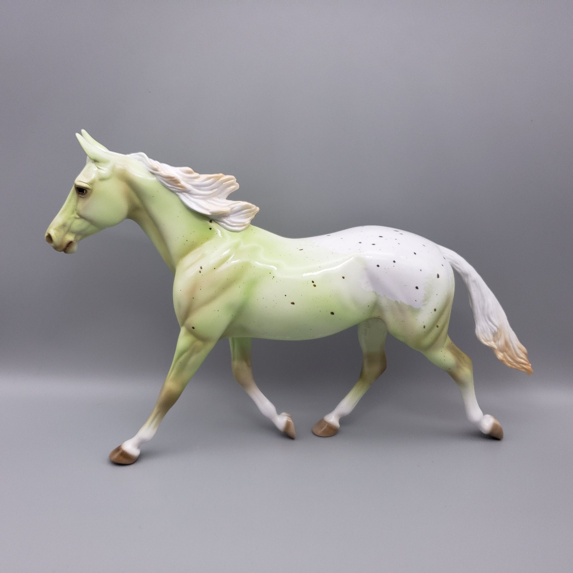 Alonia Deco Palouse T-shirt Giveaway Model By Ellen Robbins EQ23