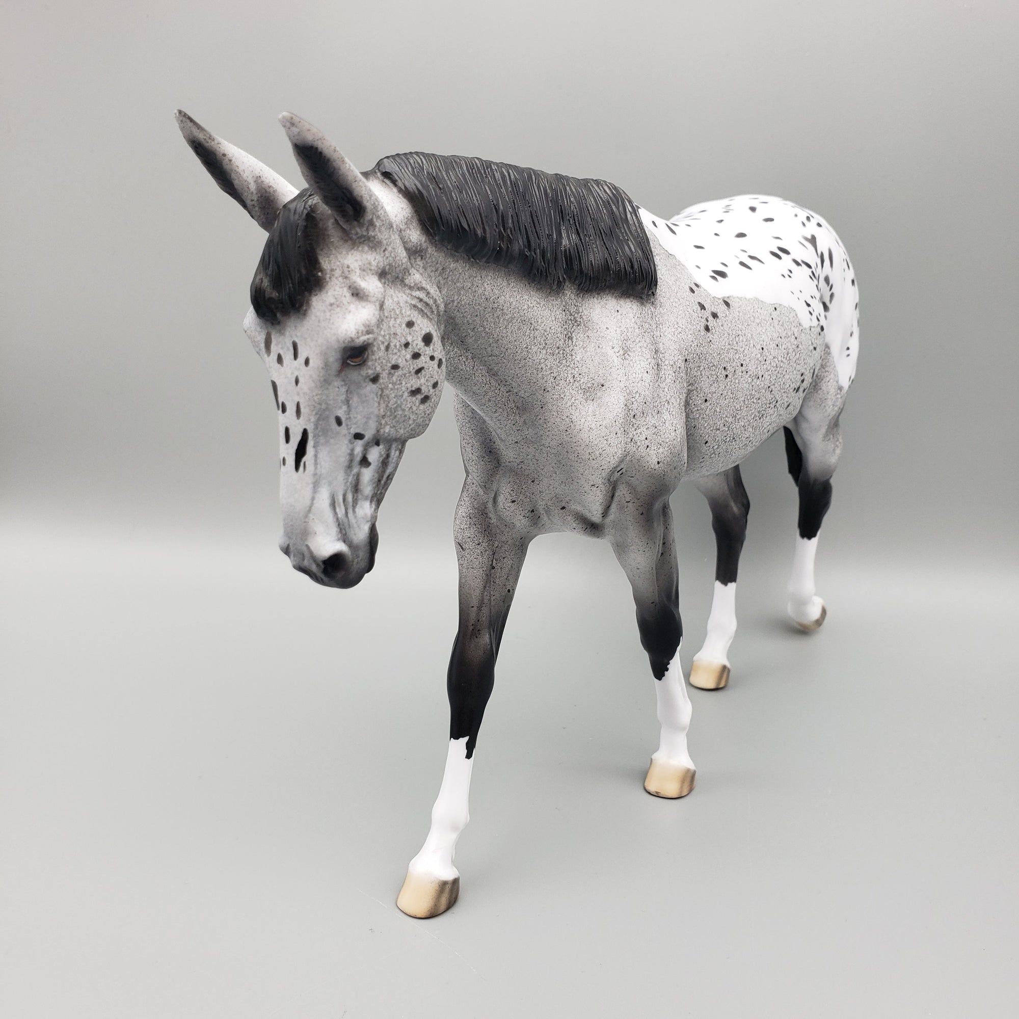 Luna OOAK Appaloosa Mule By Dawn Quick EQ23