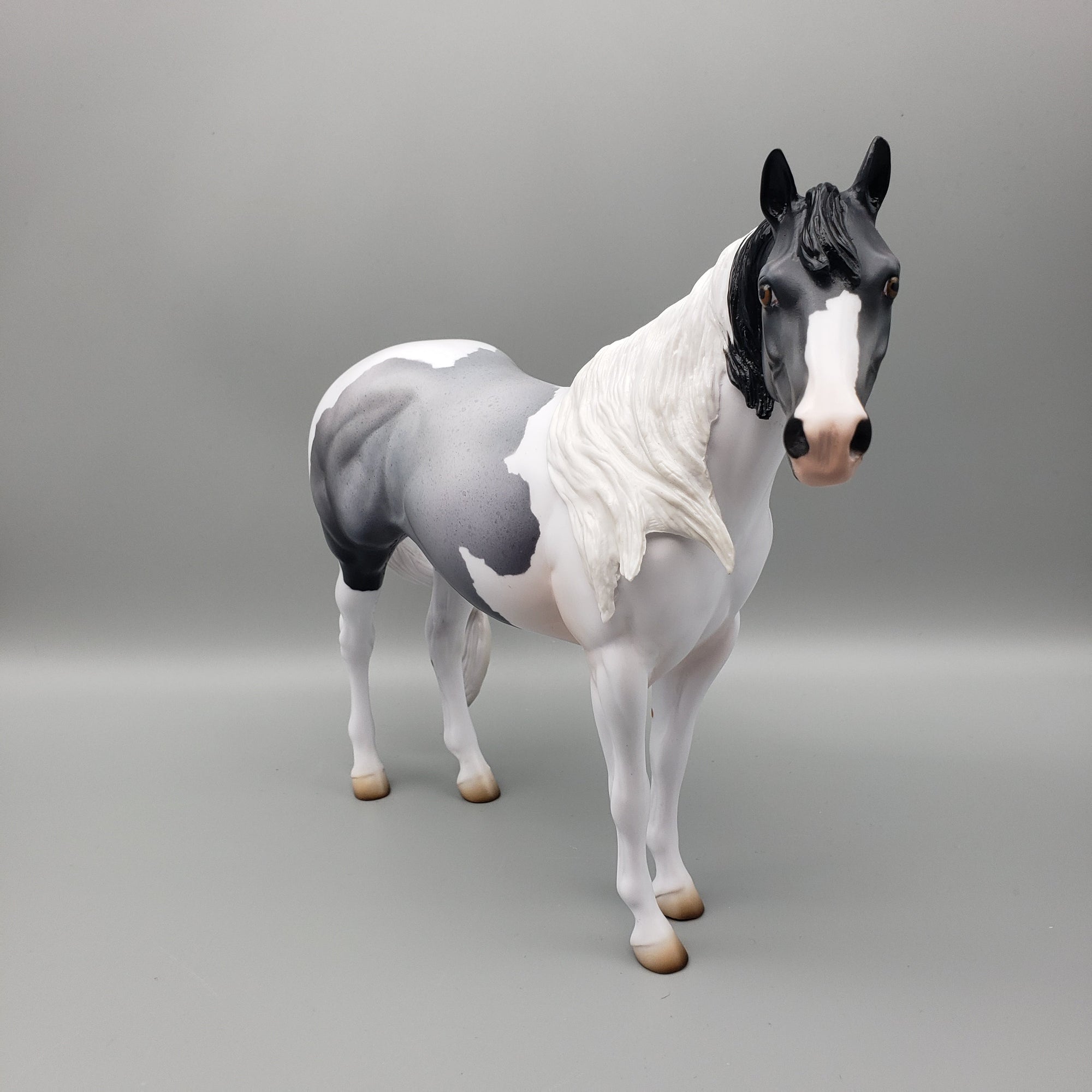 Maiko OOAK Blue Roan ISH By Jess Hamill EQ23