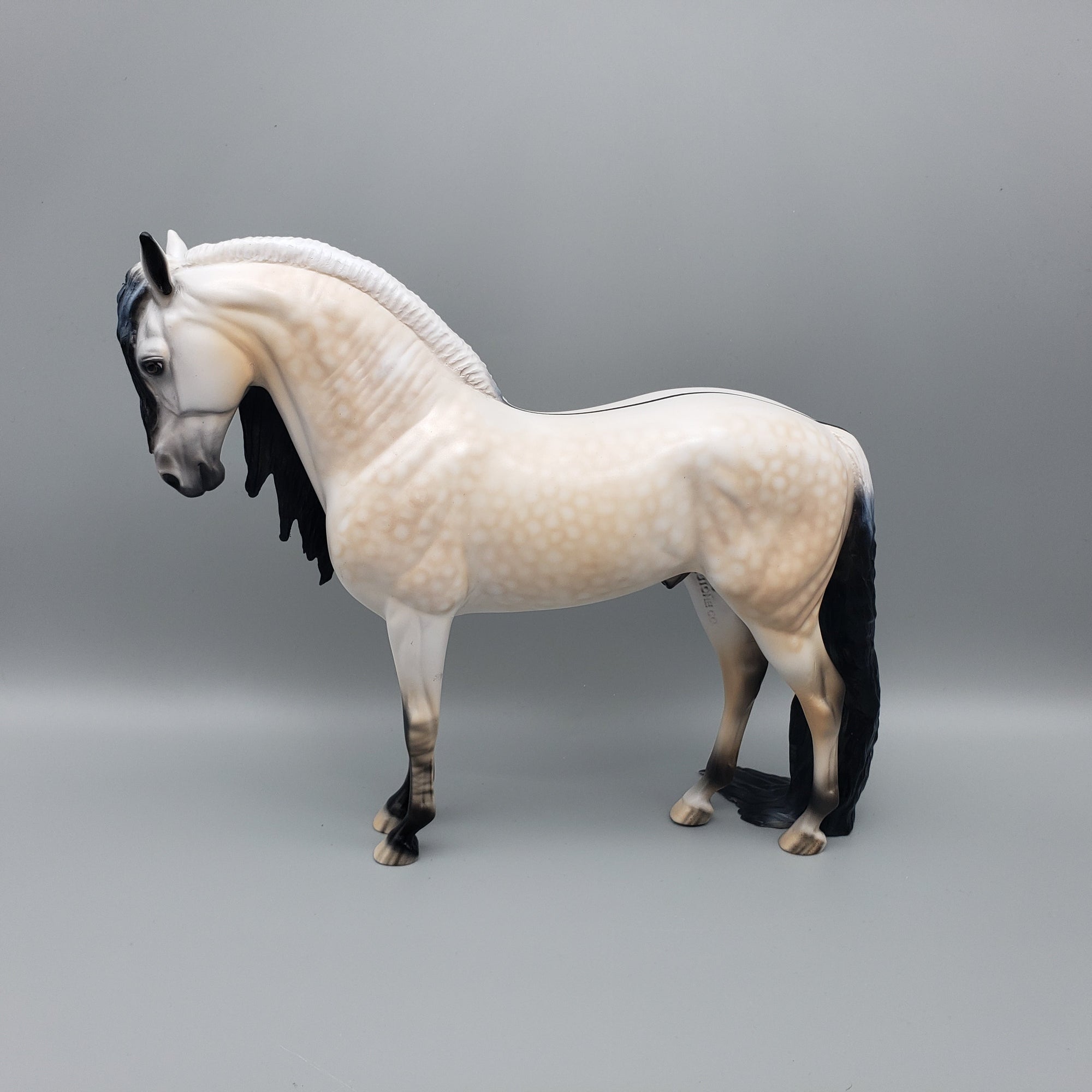 Gucci OOAK Dun Going Grey Andalusian By Dawn Quick EQ23