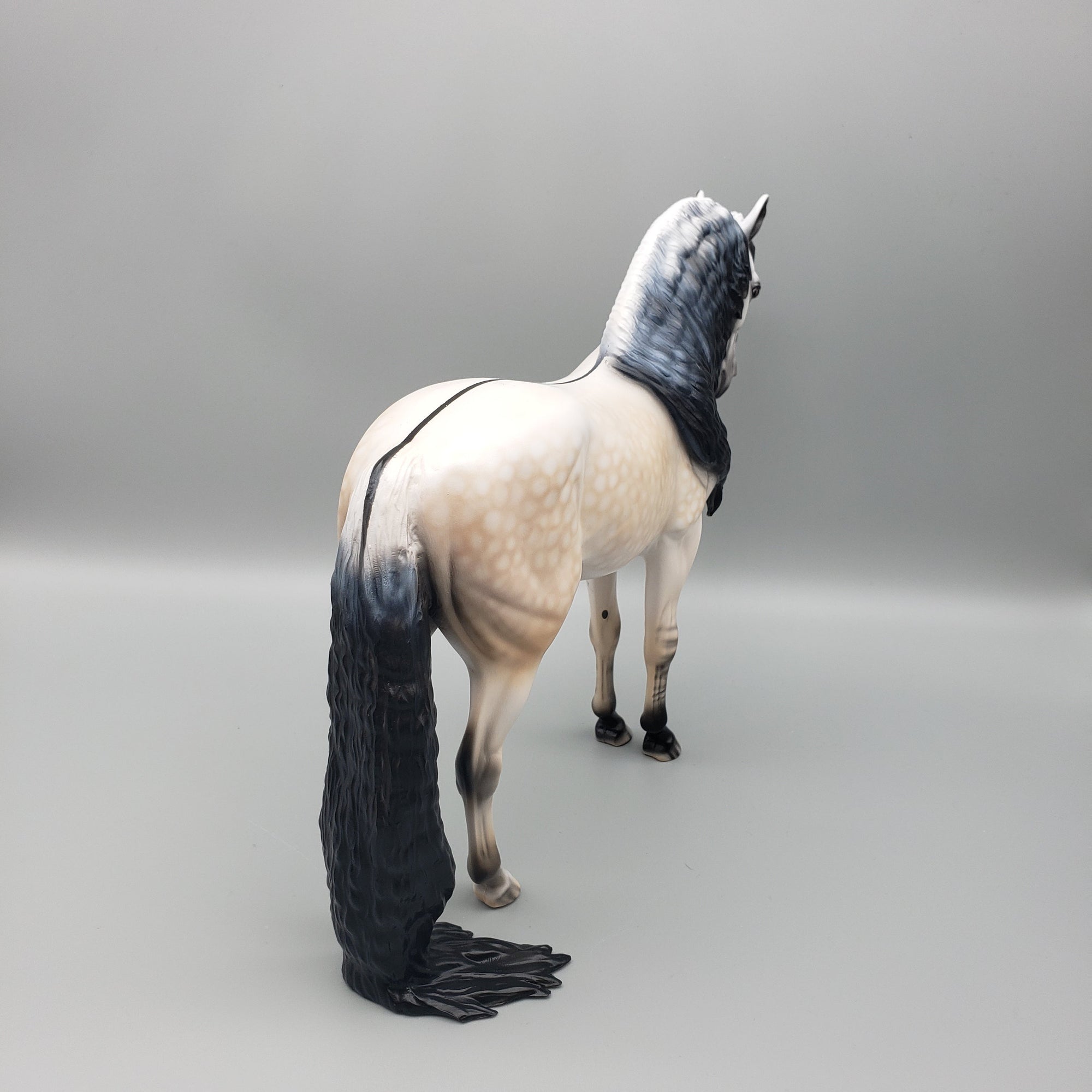 Gucci OOAK Dun Going Grey Andalusian By Dawn Quick EQ23