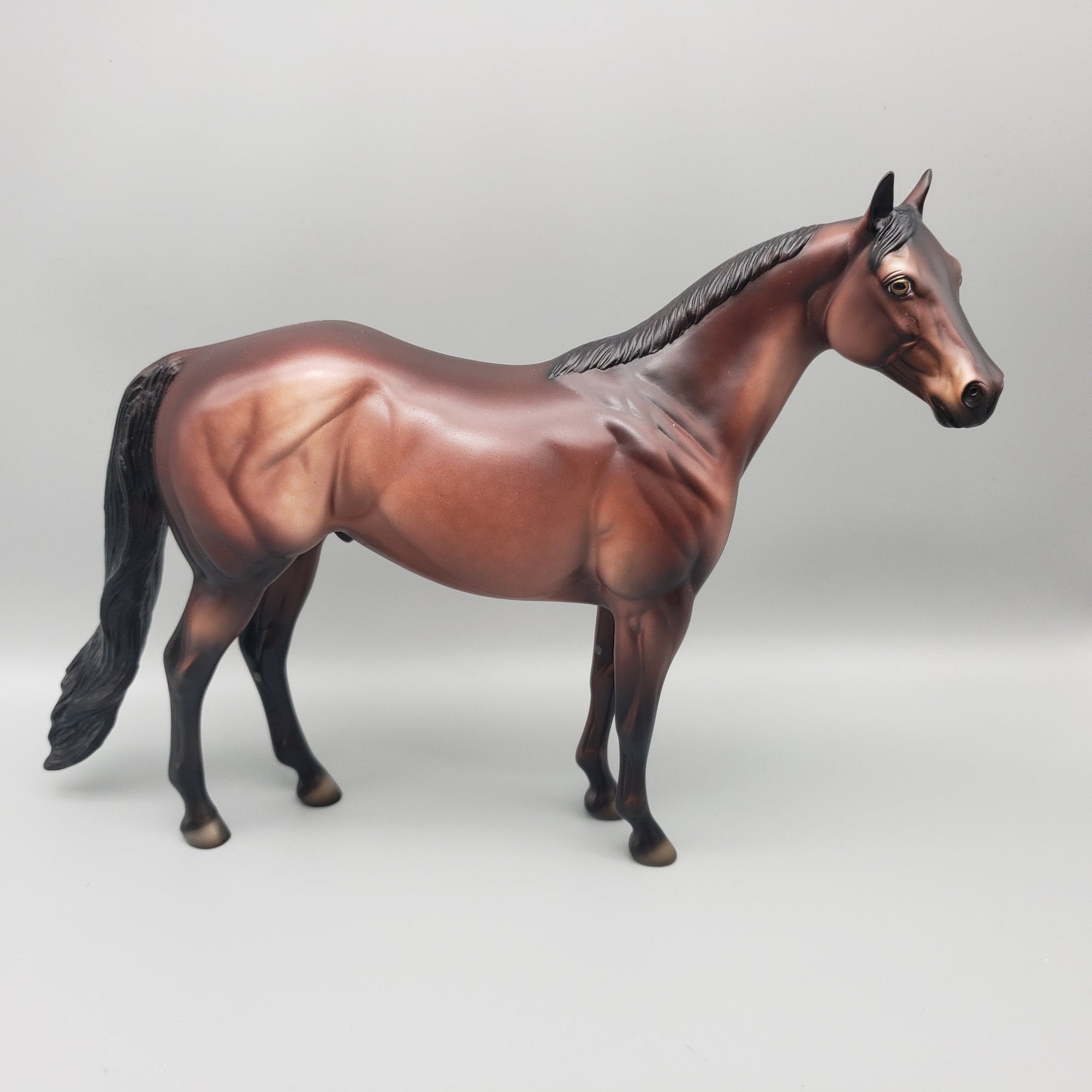 Boomer OOAK Bay ISH By Dawn Quick EQ23