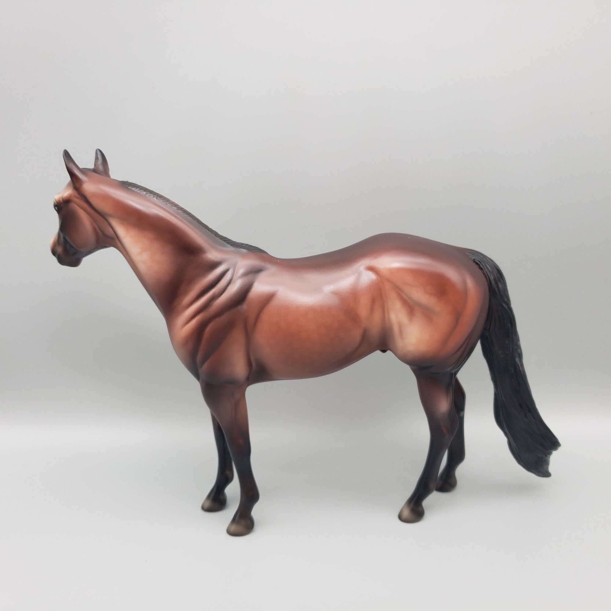 Boomer OOAK Bay ISH By Dawn Quick EQ23