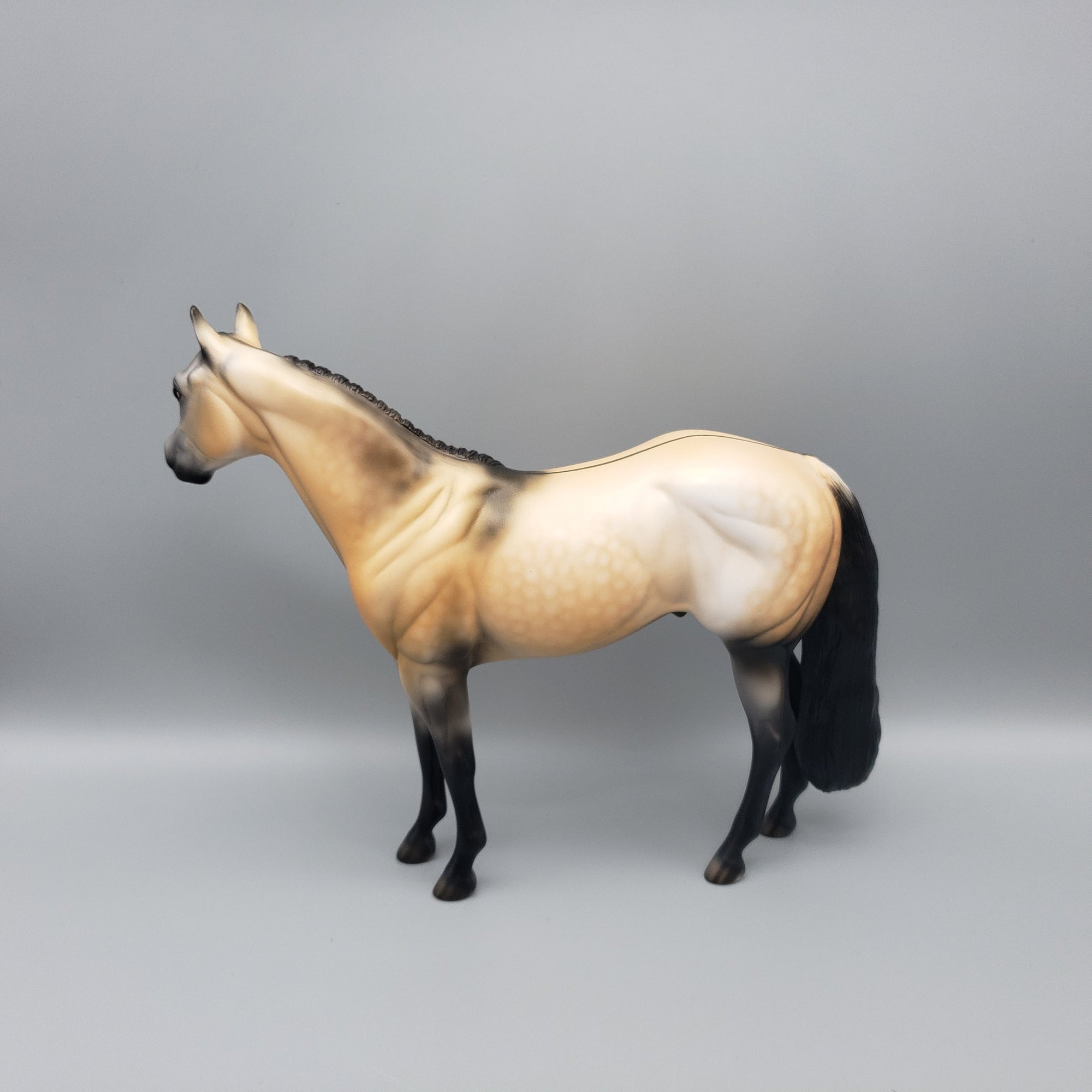 Bogard OOAK Dun ISH By Dawn Quick EQ23