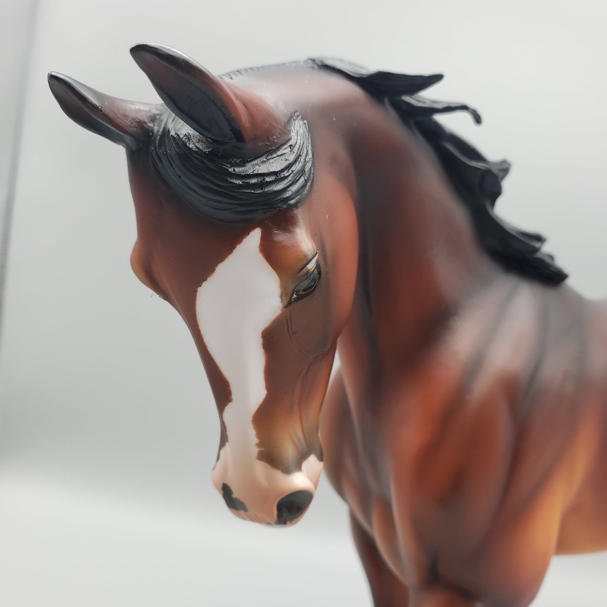 Citation OOAK Bay Thoroughbred By Angela Marleau EQ23