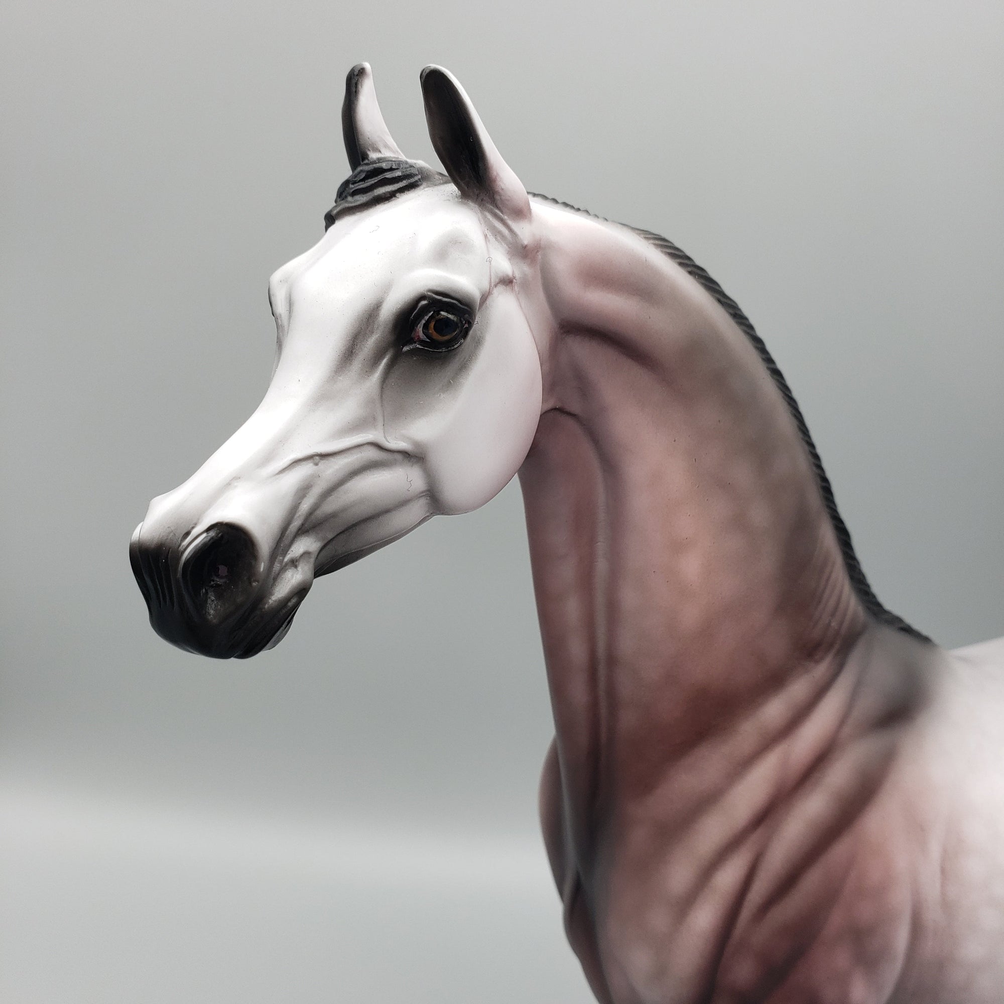 Top Gun OOAK Rose Grey Arabian Stallion By Dawn Quick EQ23