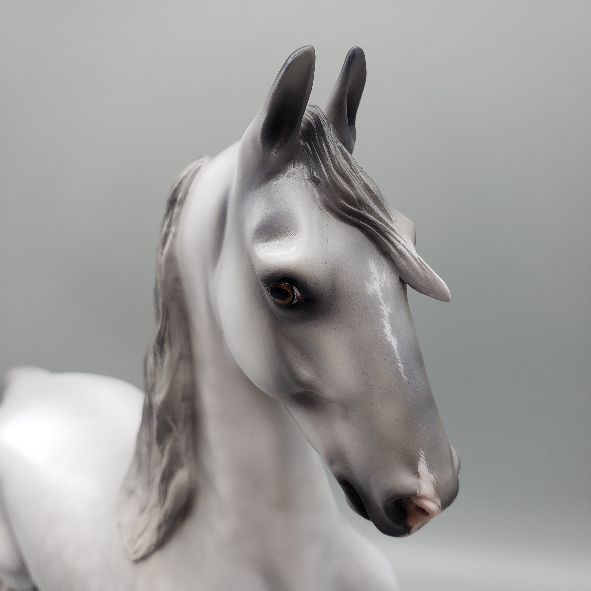 Moonbeam OOAK Dapple Grey Saddlebred By Jess Hamill EQ23