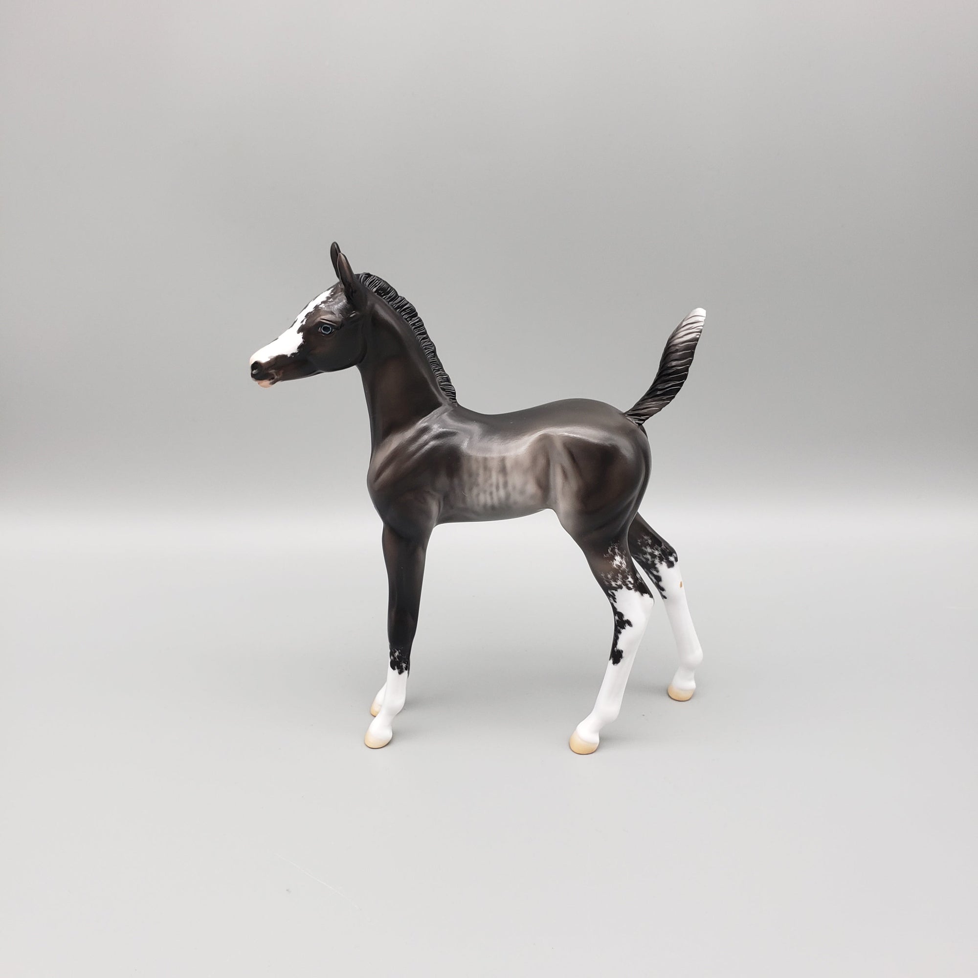 Sable OOAK Black Sabino Rabicano Arabian Foal Pebble By Jess Hamill EQ23