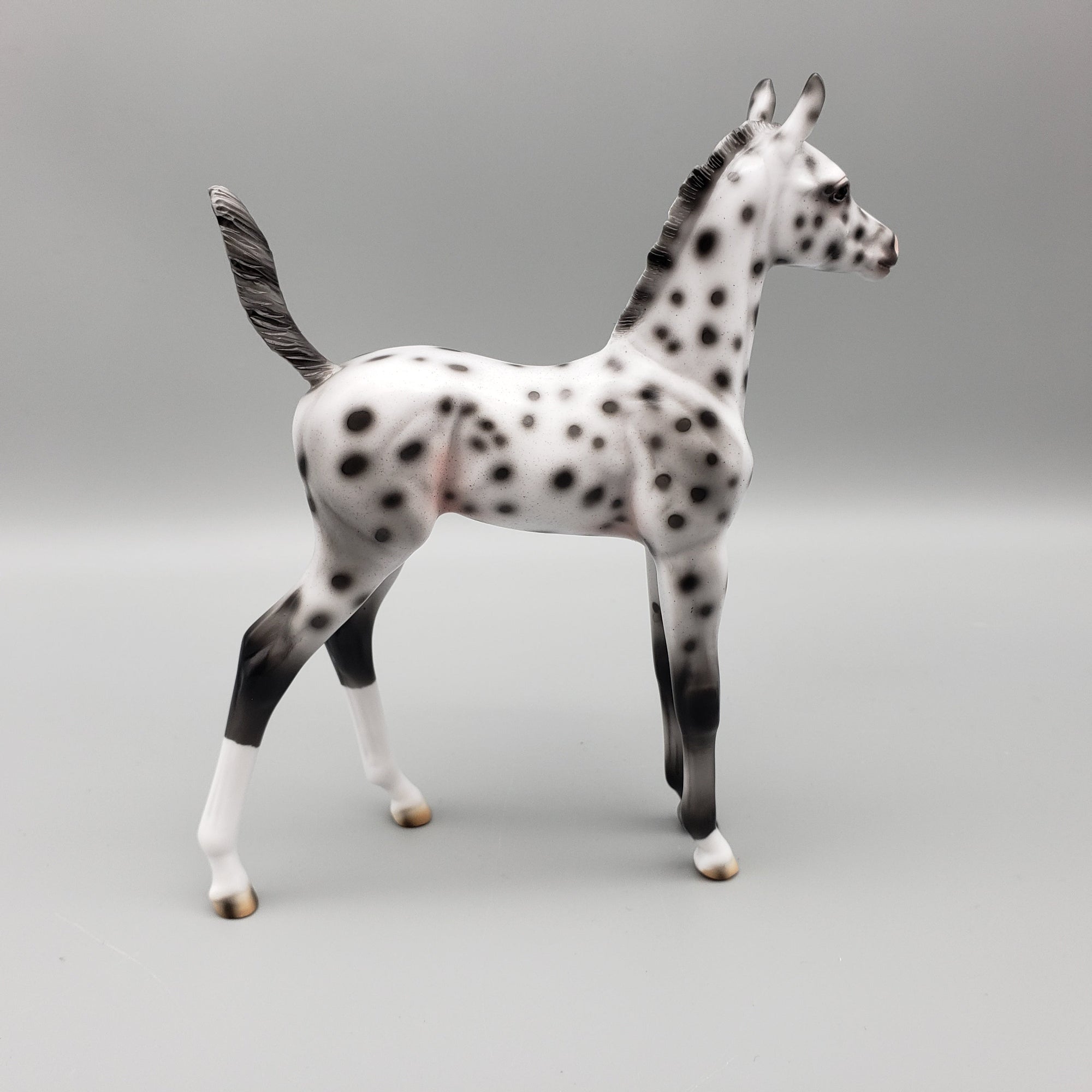Easily Spotted OOAK Leopard Appaloosa Arabian Foal Pebble By Ashley Palmer EQ23