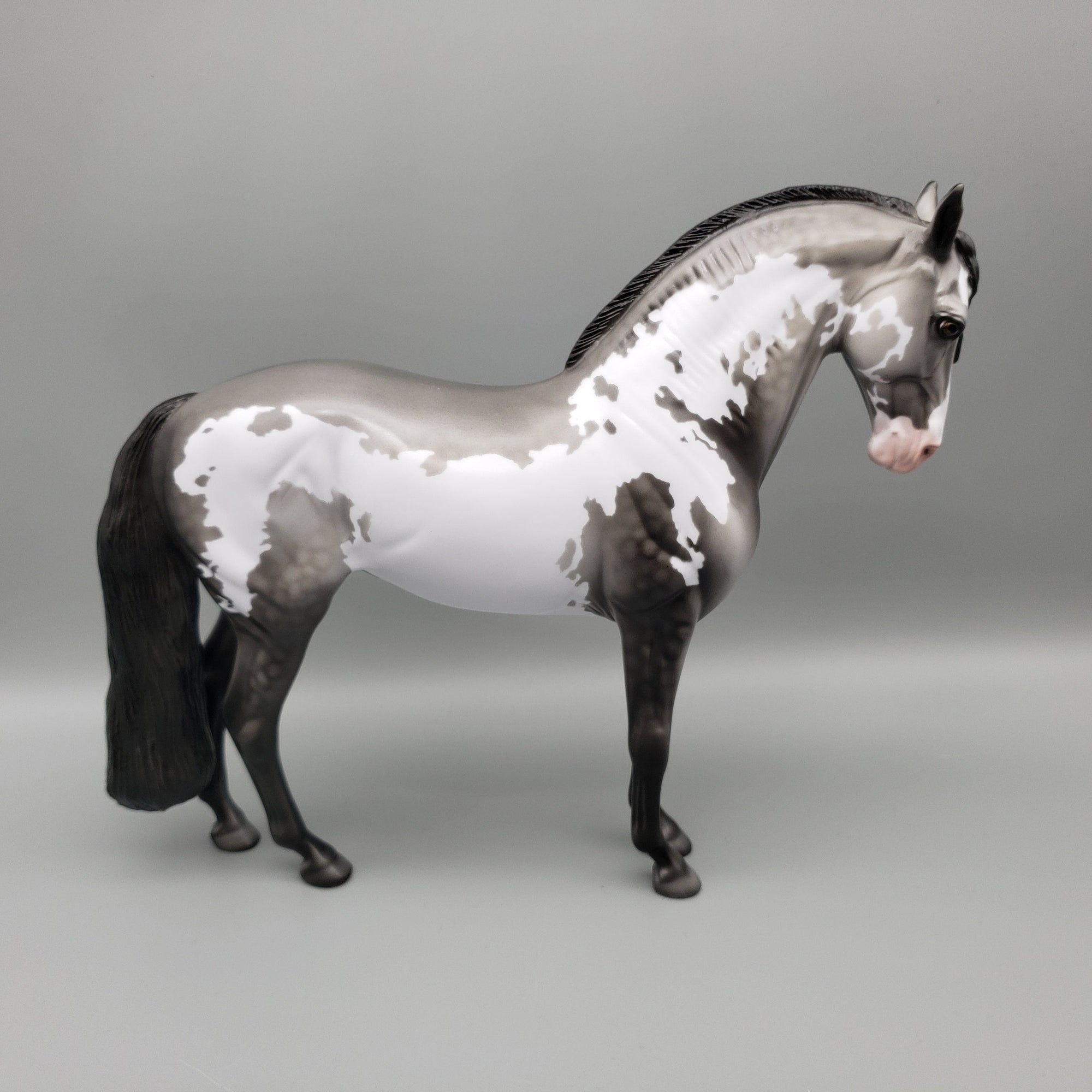 Concho OOAK Black Going Gray Dappled Overo Andalusian By Dawn Quick EQ23