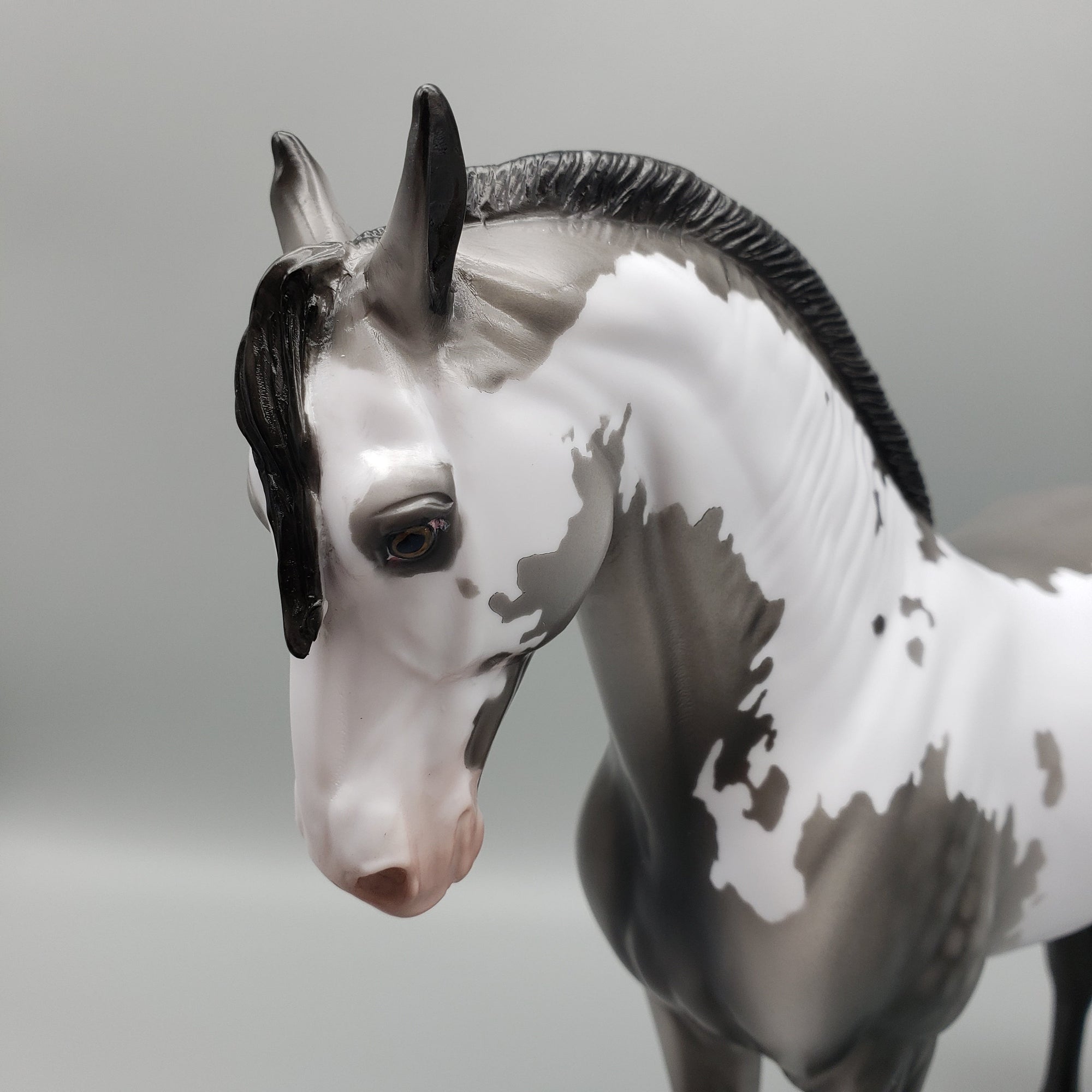 Concho OOAK Black Going Gray Dappled Overo Andalusian By Dawn Quick EQ23