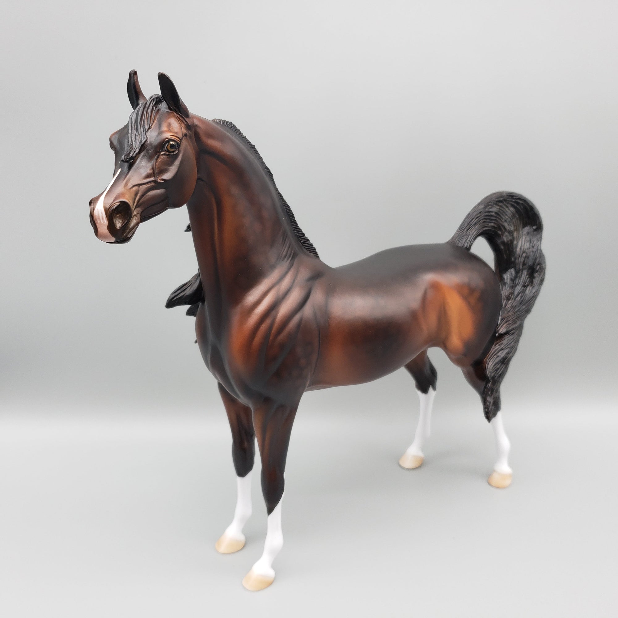 Challenger OOAK Dappled Bay Arabian Stallion By Dawn Quick EQ23