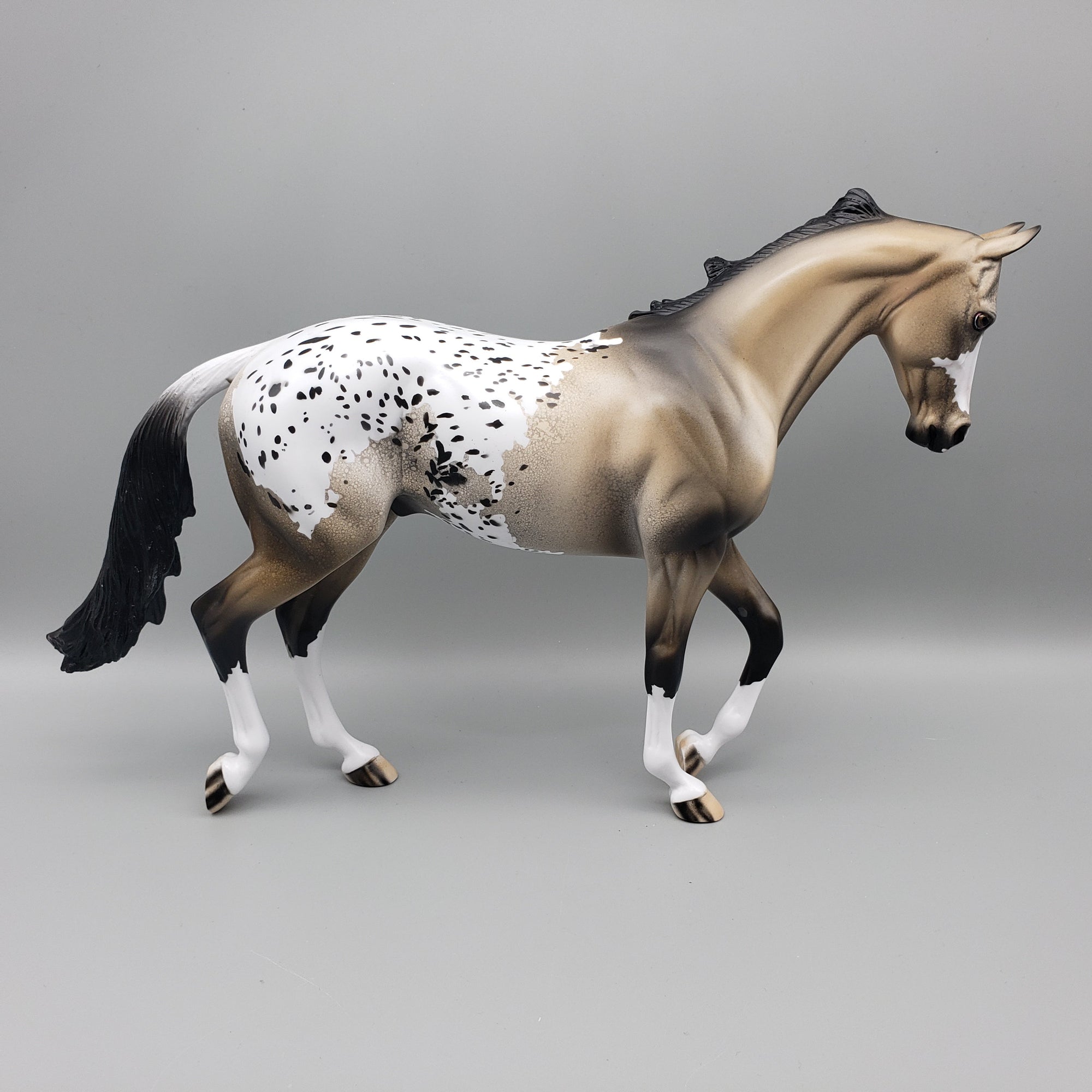 Akecheta OOAK Appaloosa Thoroughbred By Dawn Quick EQ23