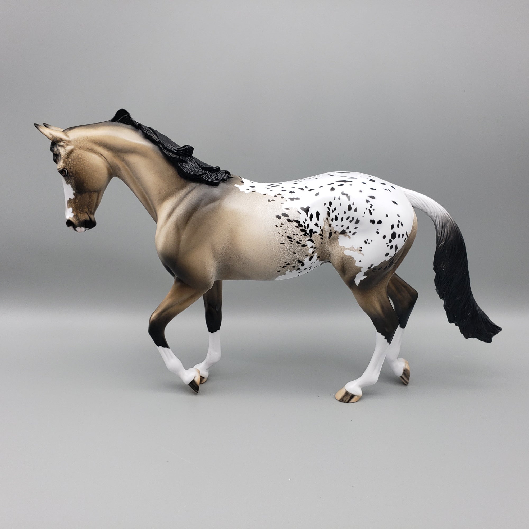 Akecheta OOAK Appaloosa Thoroughbred By Dawn Quick EQ23