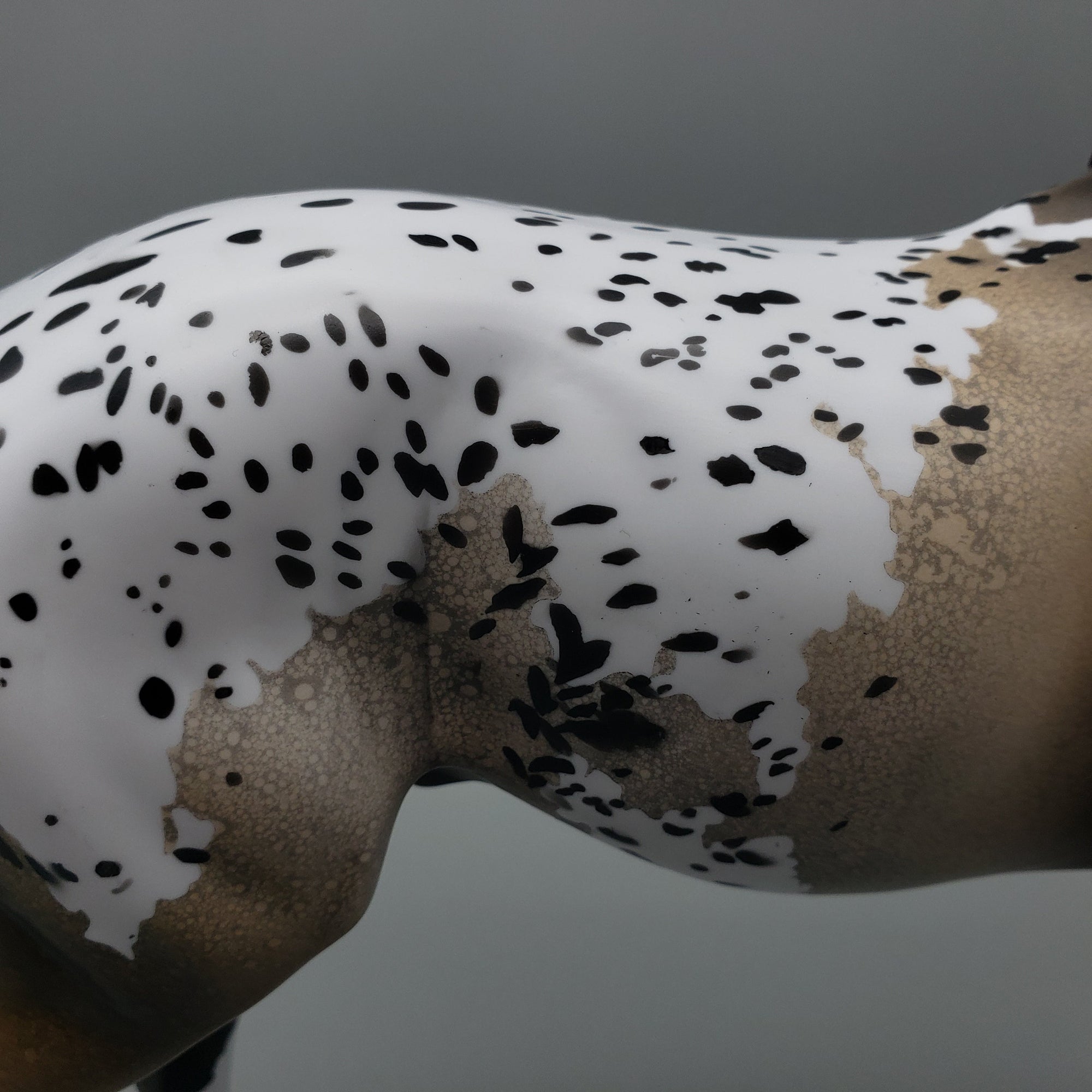 Akecheta OOAK Appaloosa Thoroughbred By Dawn Quick EQ23