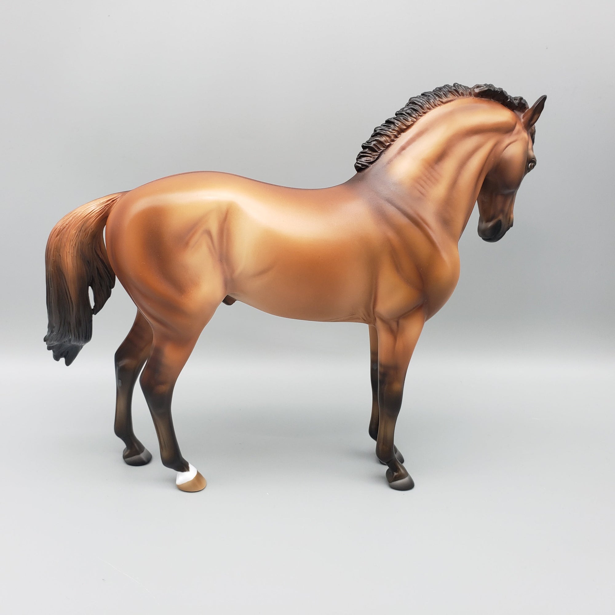 Filius OOAK Dun Andalusian By Ashley Palmer Equilocity Best Offers 7/15/23 EQ23