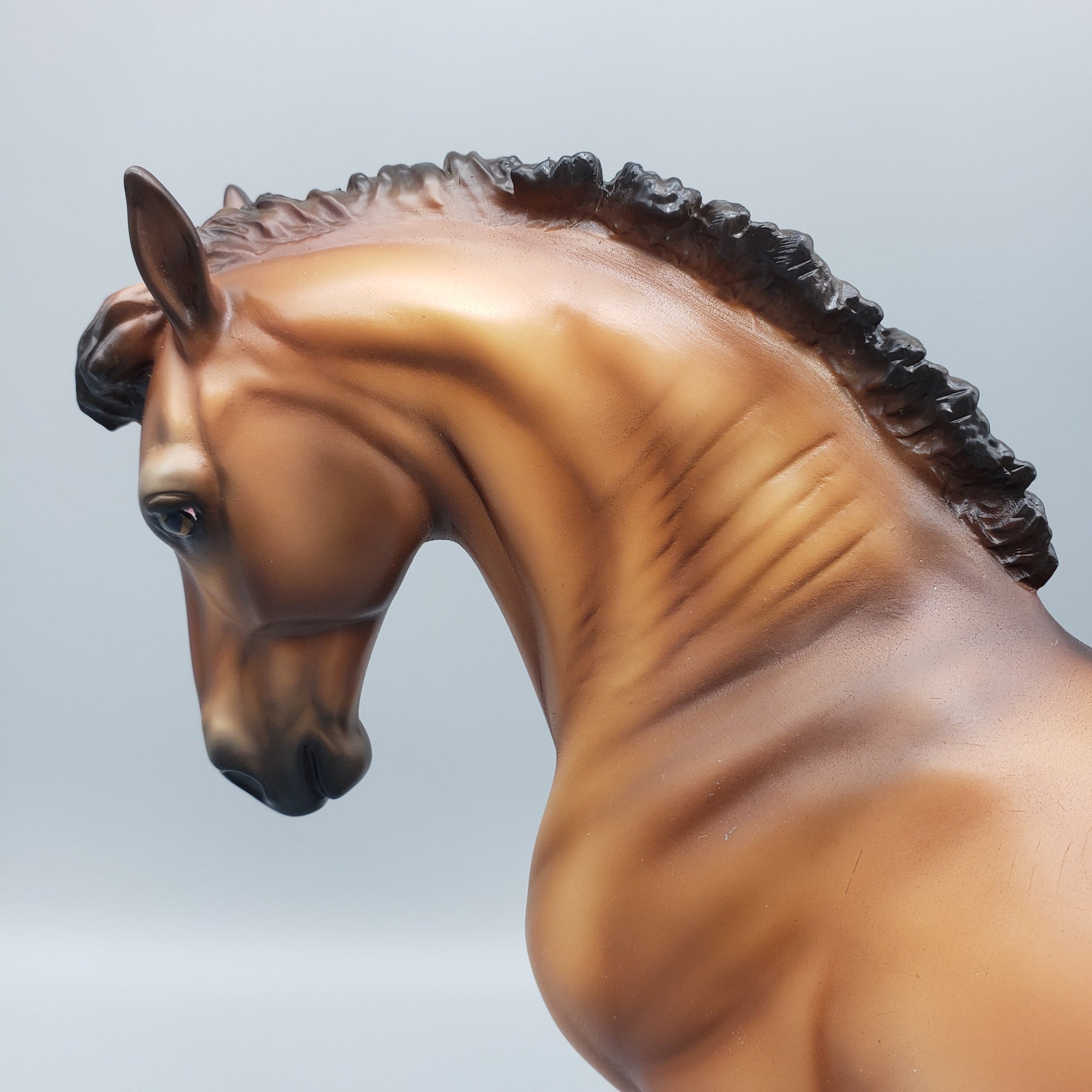 Filius OOAK Dun Andalusian By Ashley Palmer Equilocity Best Offers 7/15/23 EQ23