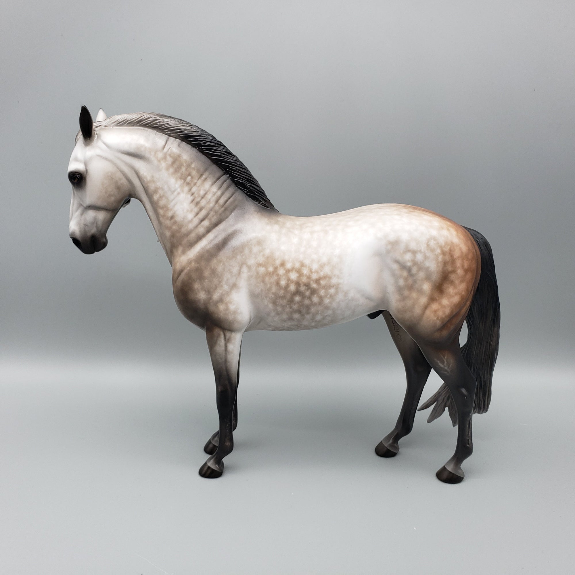Florian OOAK Dapple Grey Andalusian By Sheryl Leisure Best Offers 7/10/23
