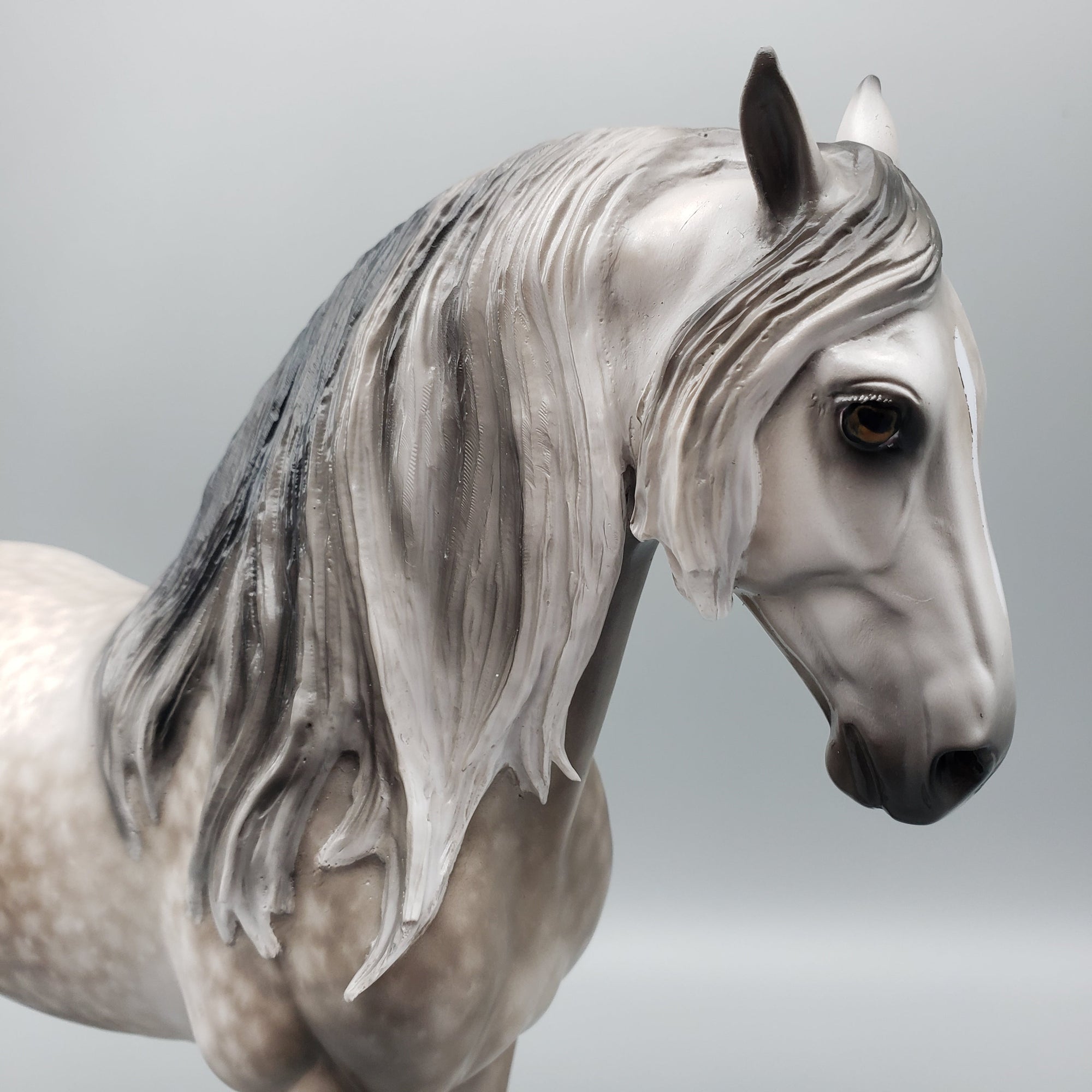 Florian OOAK Dapple Grey Andalusian By Sheryl Leisure Best Offers 7/10/23