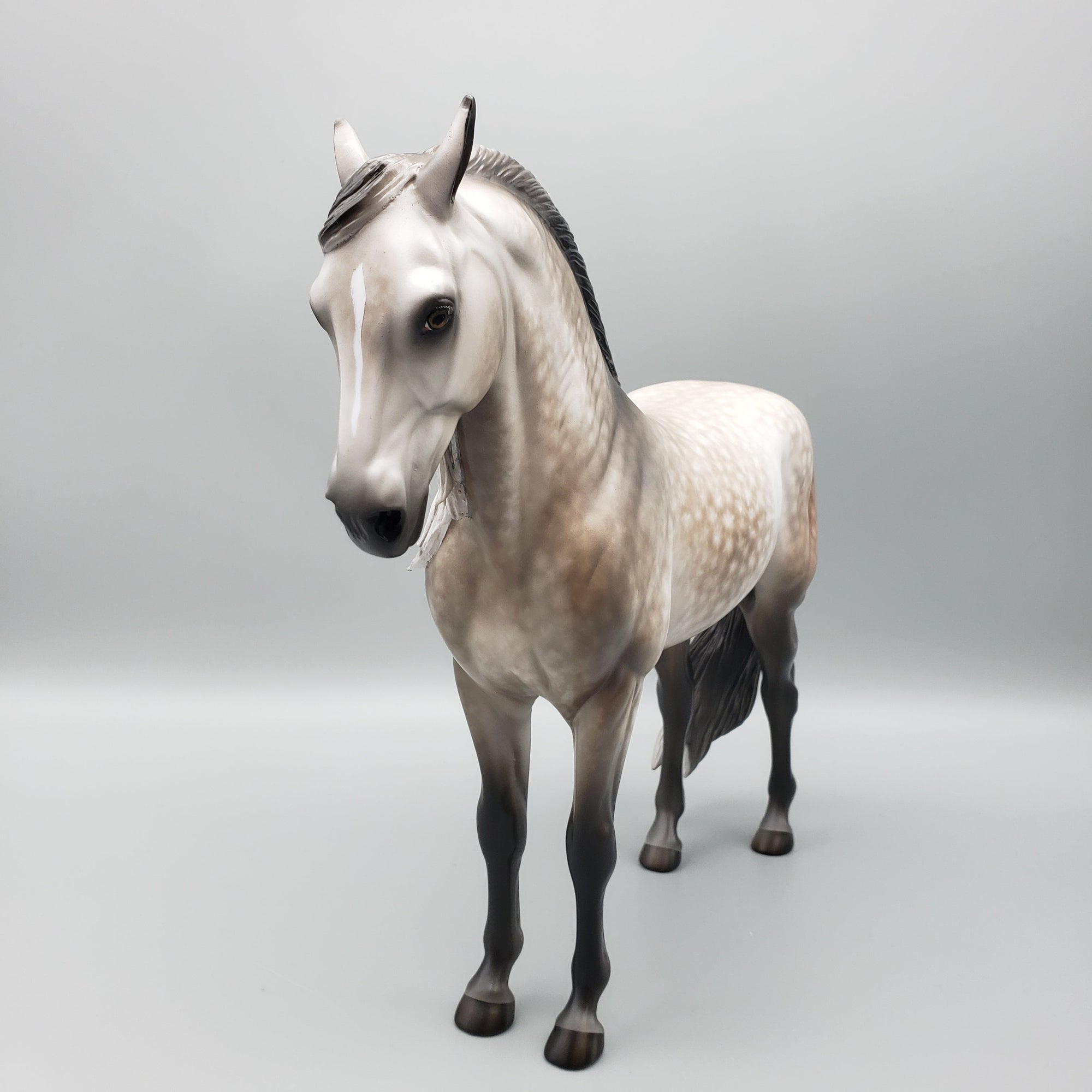 Florian OOAK Dapple Grey Andalusian By Sheryl Leisure Best Offers 7/10/23