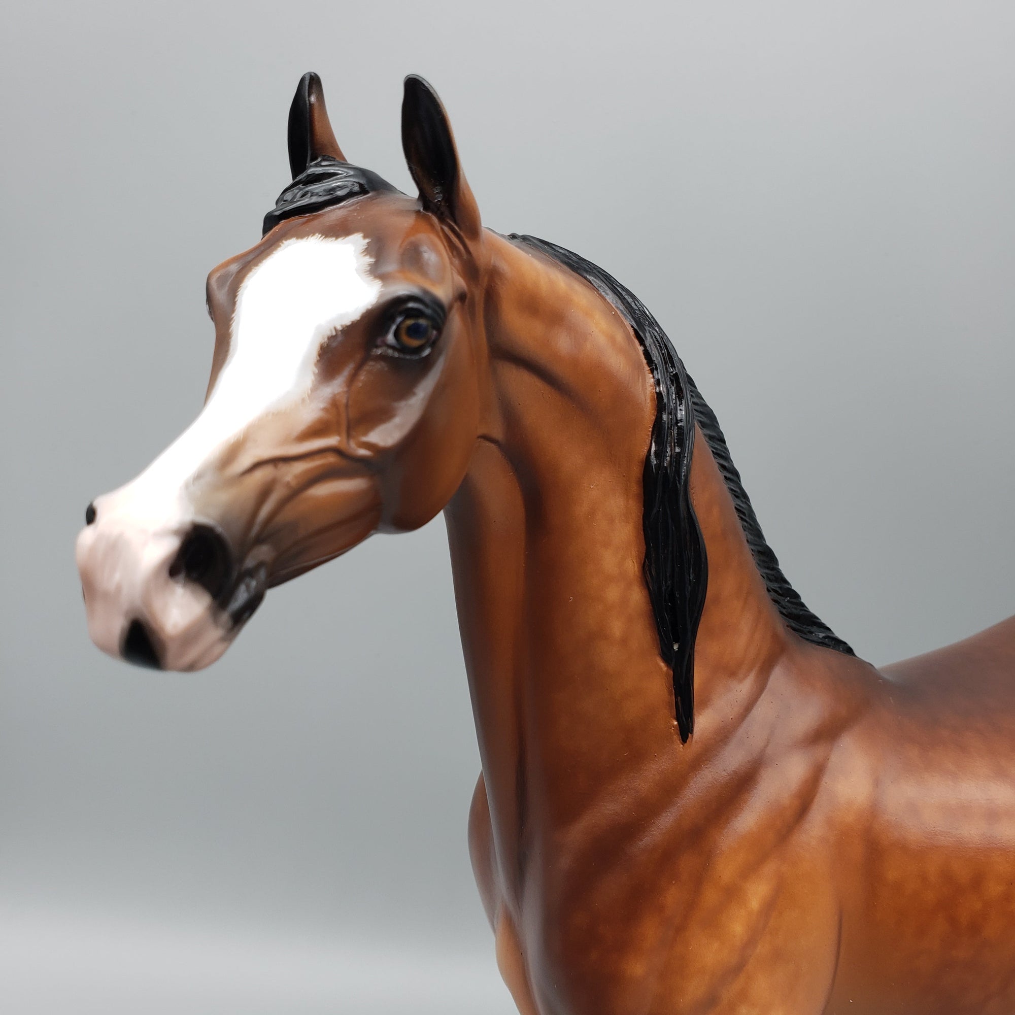 Florentino OOAK Bay Arabian Stallion By Sheryl Leisure Best Offers 7/10/23