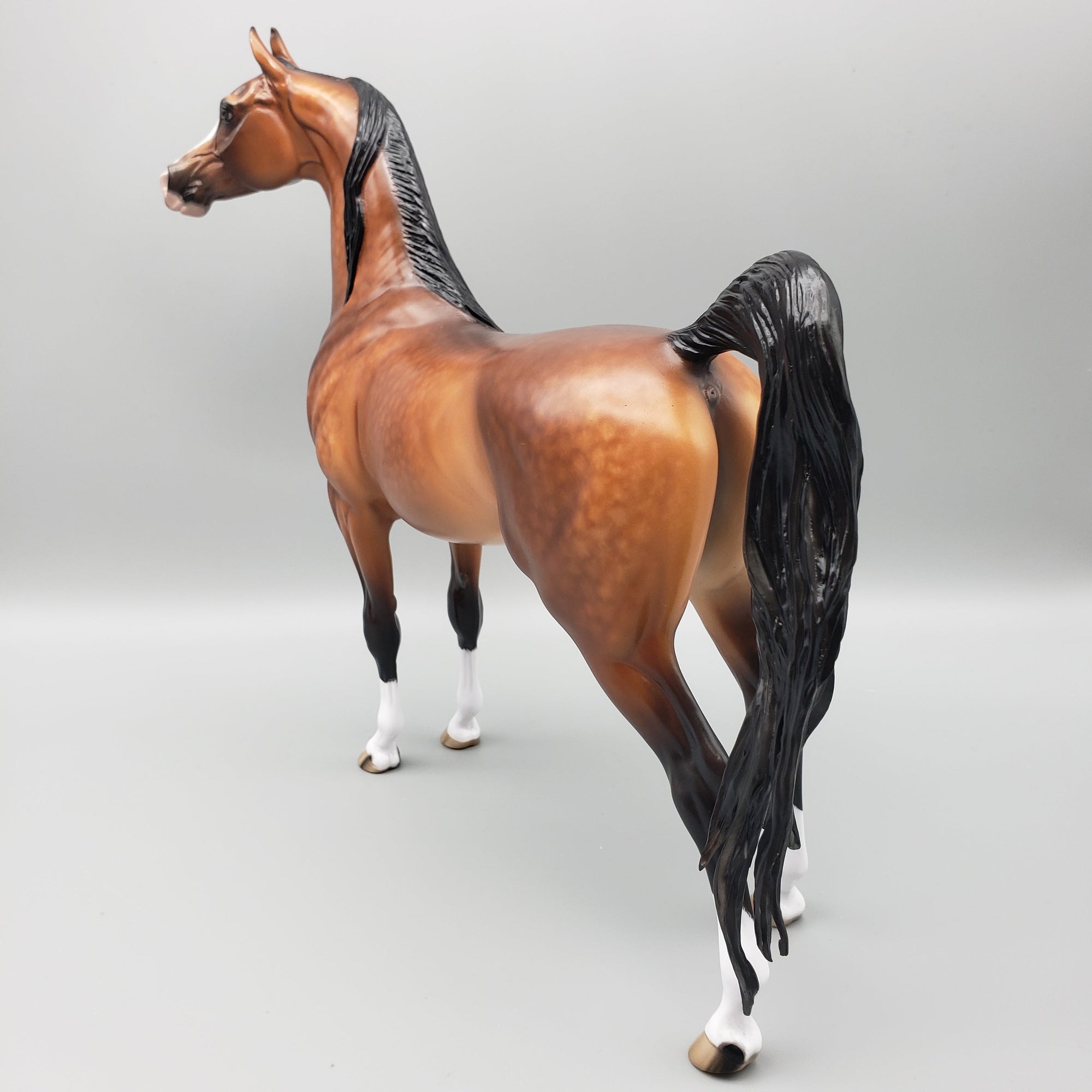 Florentino OOAK Bay Arabian Stallion By Sheryl Leisure Best Offers 7/10/23