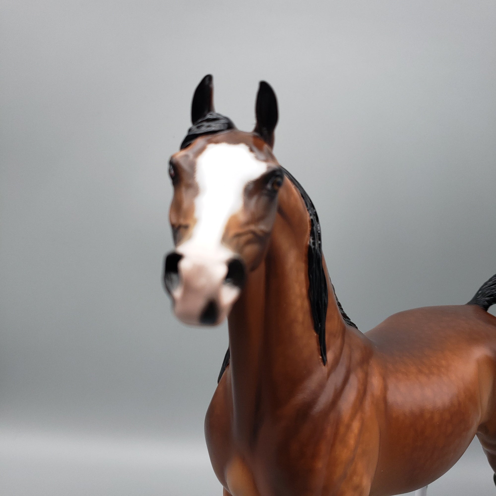 Florentino OOAK Bay Arabian Stallion By Sheryl Leisure Best Offers 7/10/23